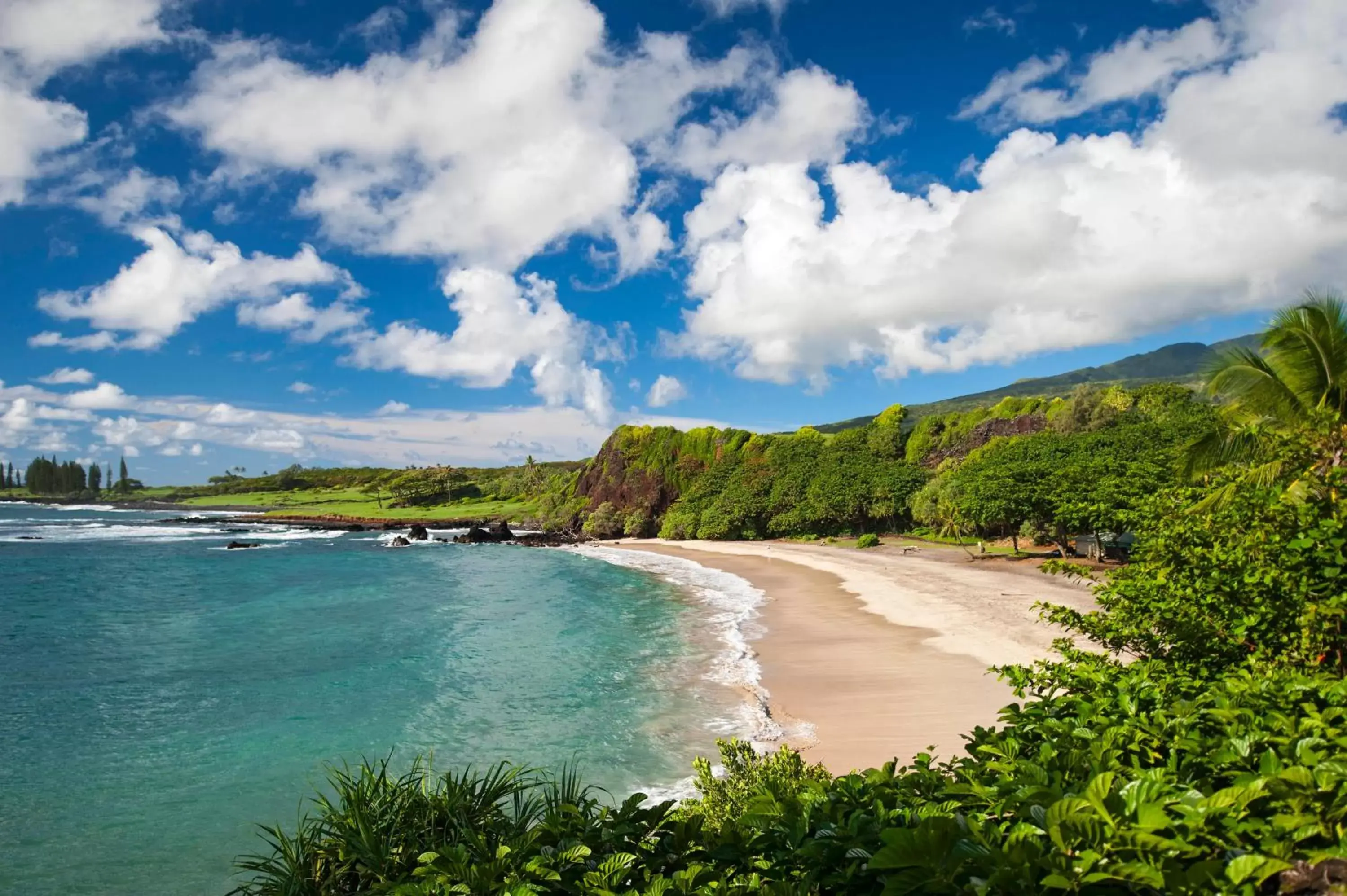 Beach in Hana-Maui Resort, a Destination by Hyatt Residence