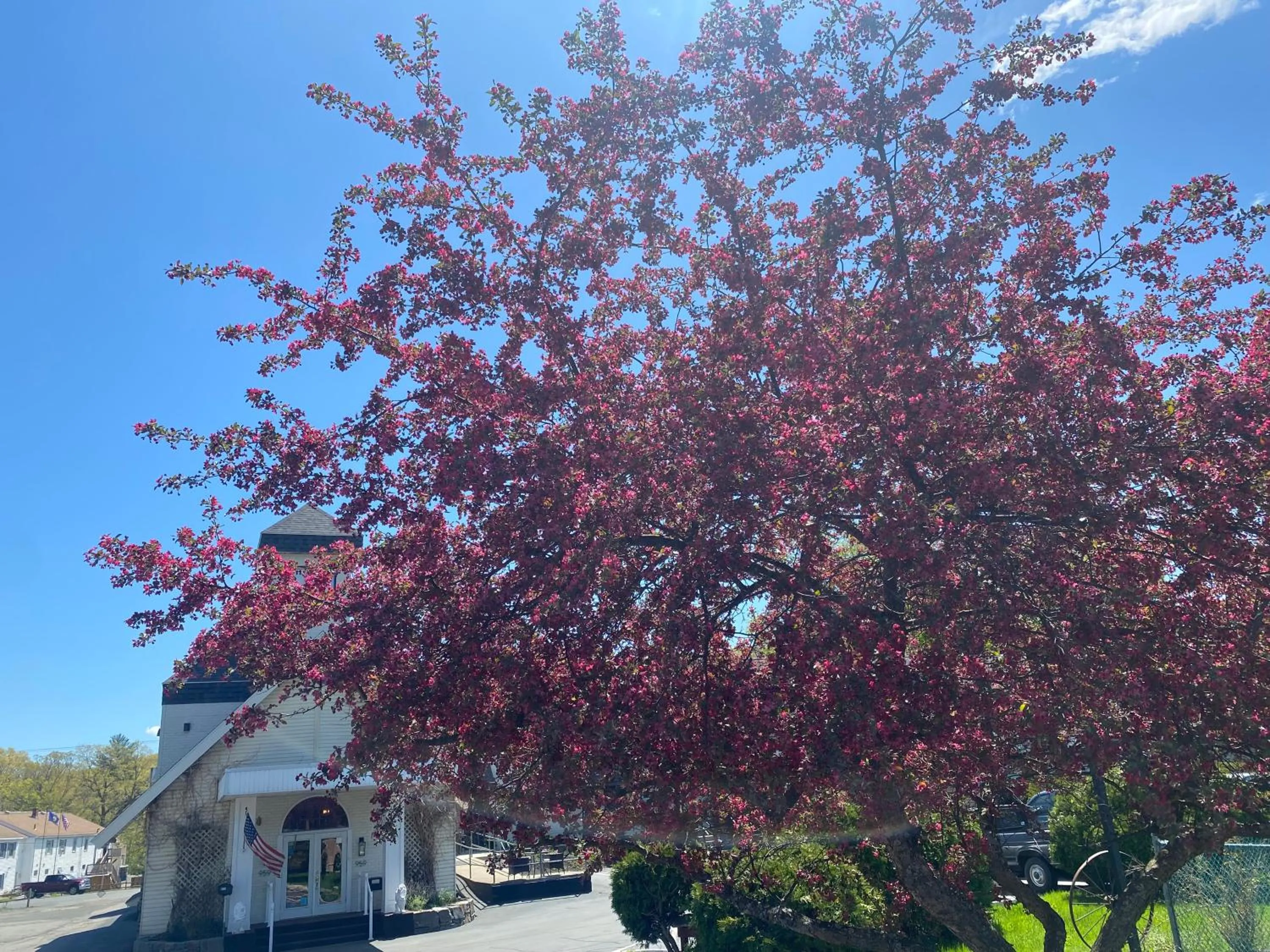 Spring in The Black Mountain Inn