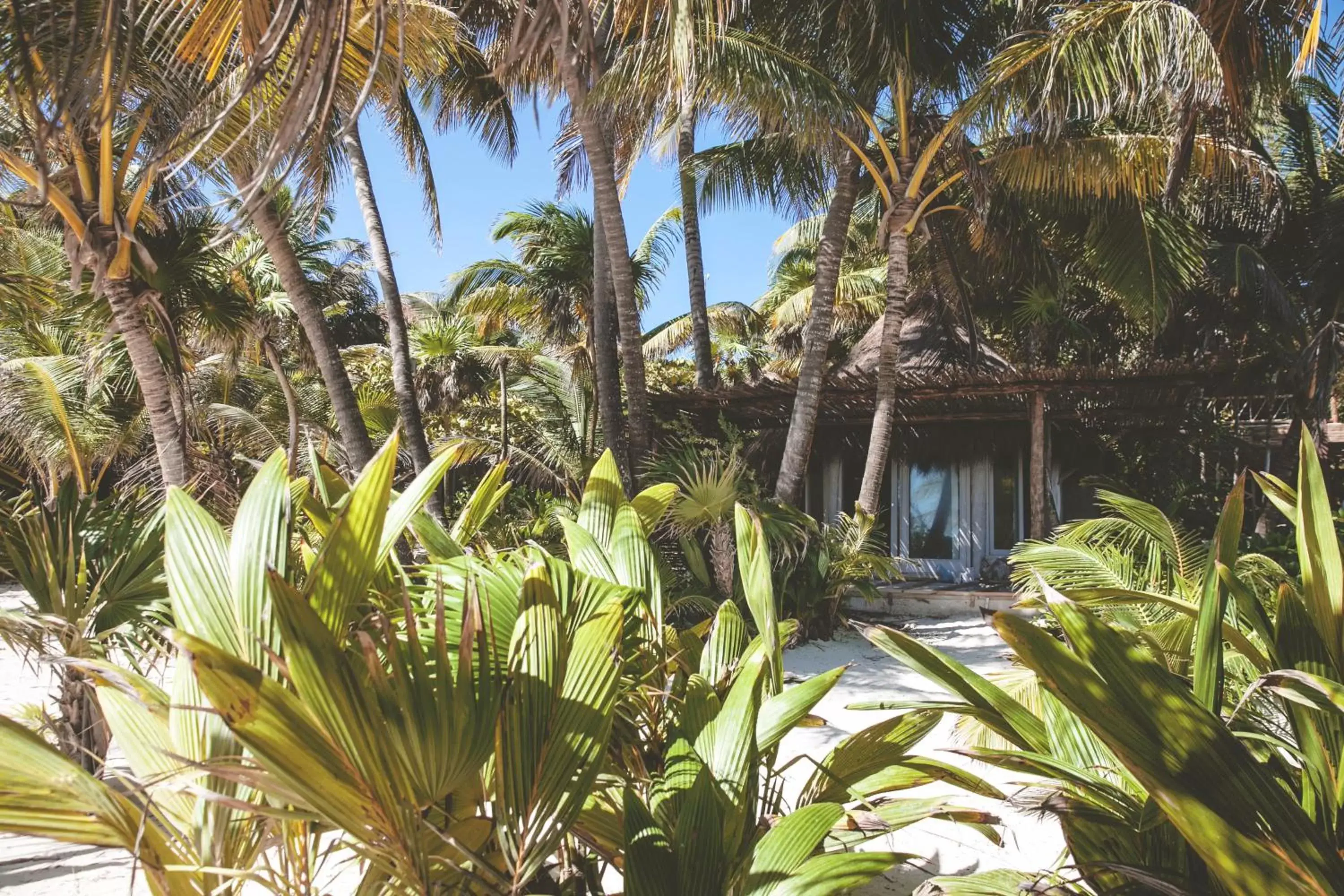 Day, Swimming Pool in Nomade Tulum