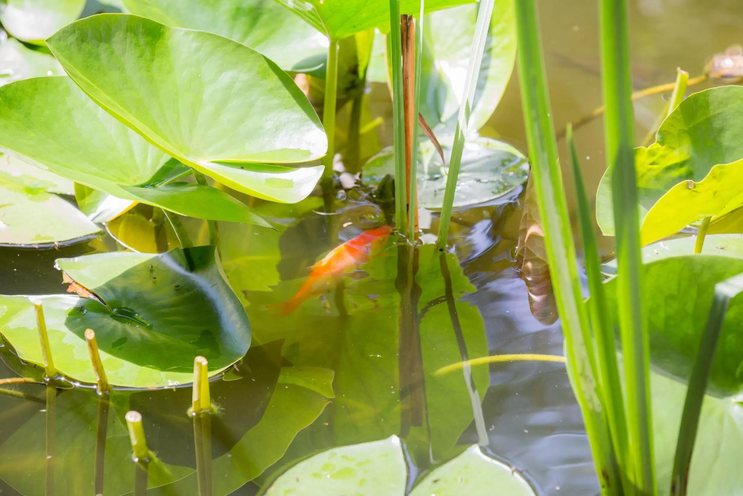 Decorative detail in Bio Design Boutique Landhaus St Georg