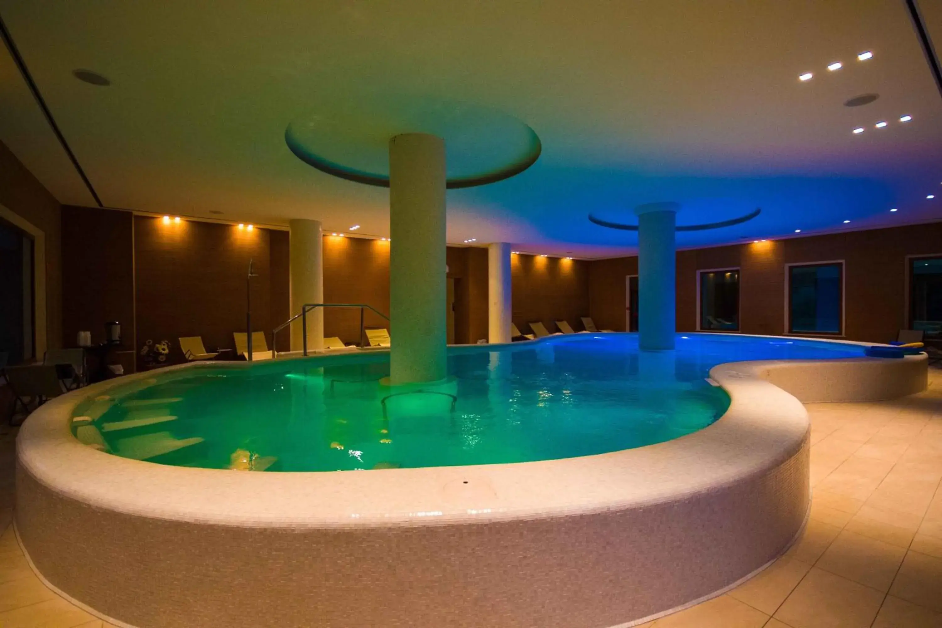 Spa and wellness centre/facilities, Swimming Pool in Hotel Villa Ricci & Benessere
