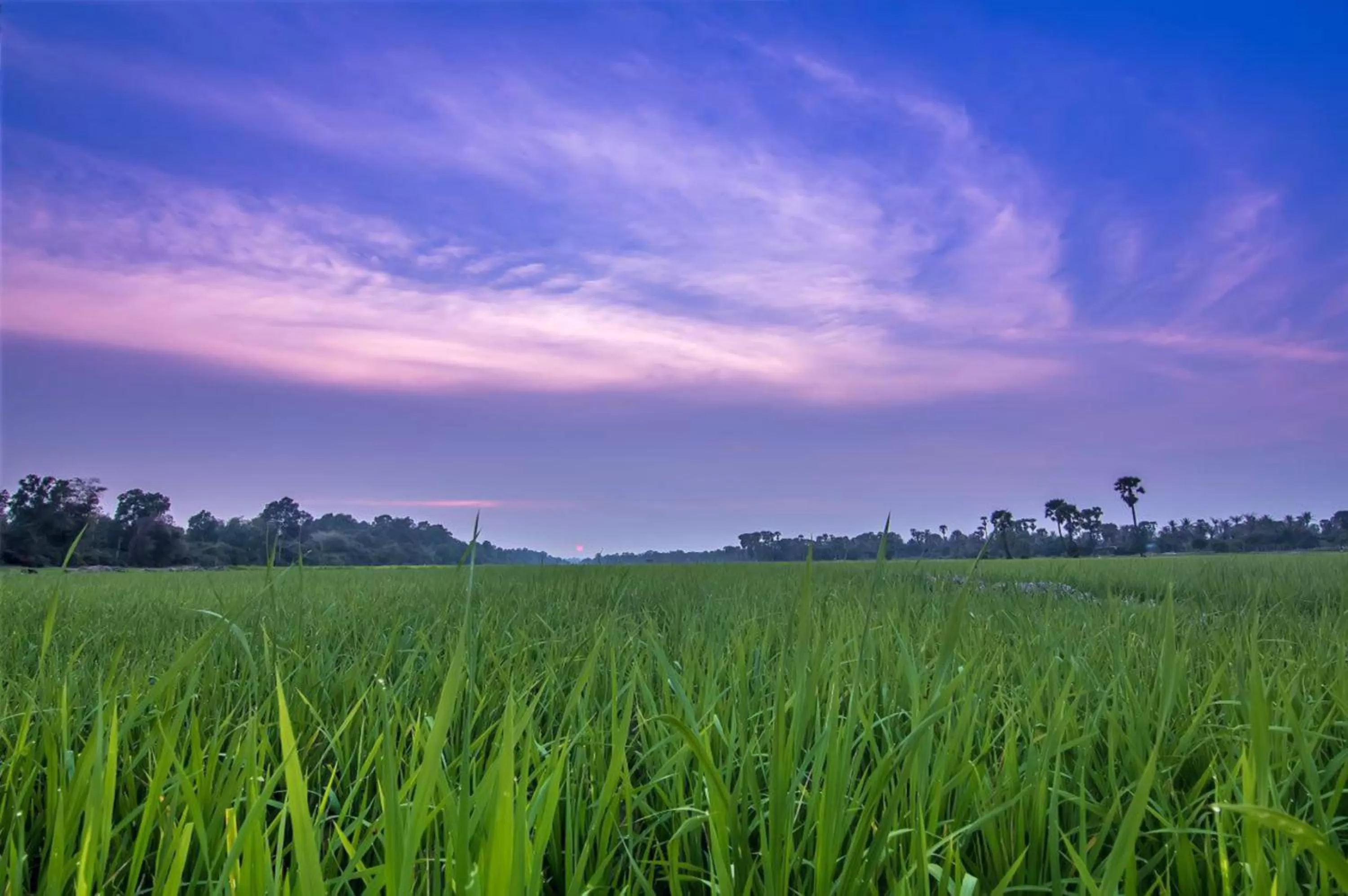 Spring in Chhay Long Angkor Boutique Hotel Siem Reap