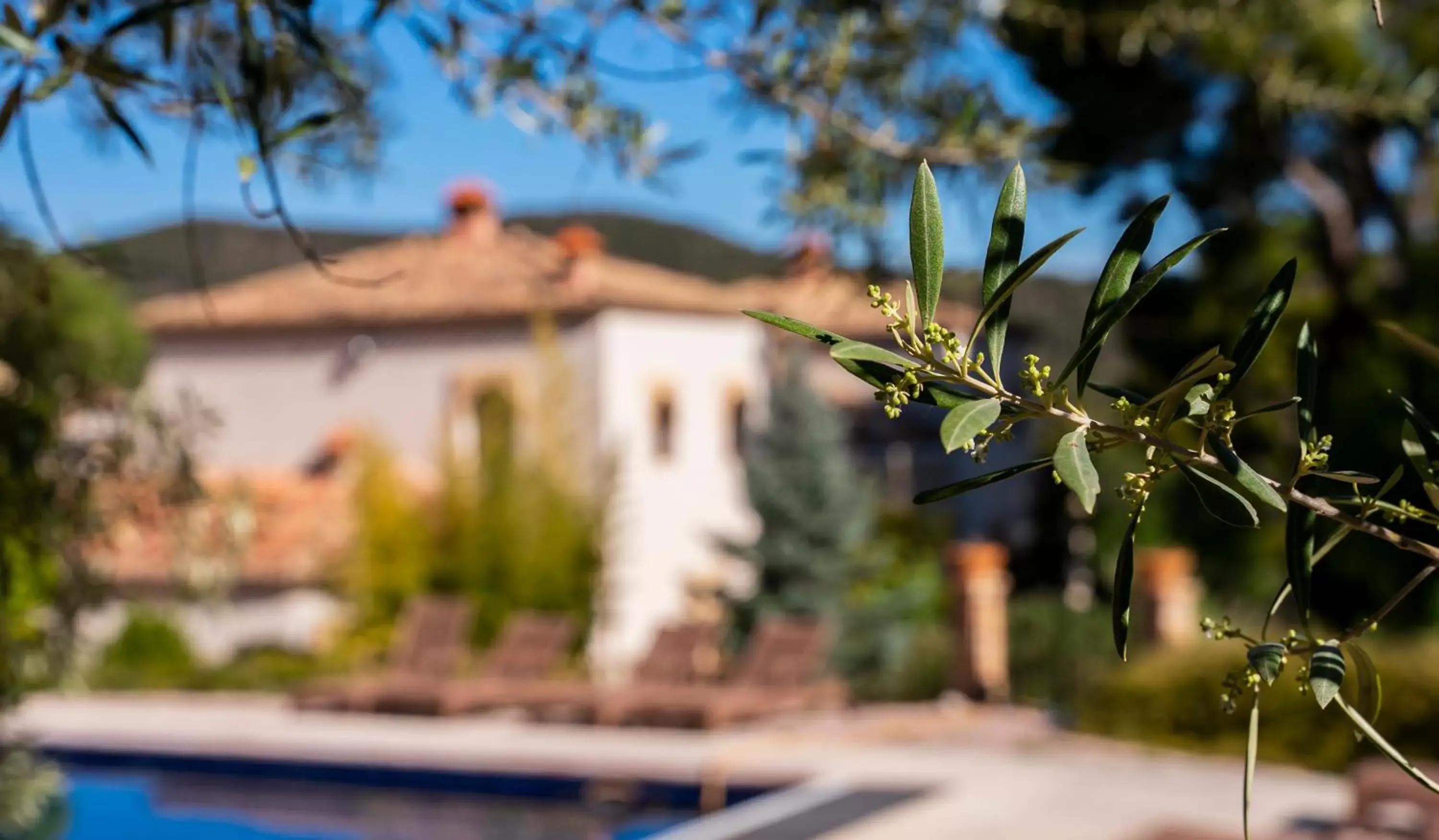 Swimming pool, Property Building in Eco Hotel con encanto Masía la Mota B&B