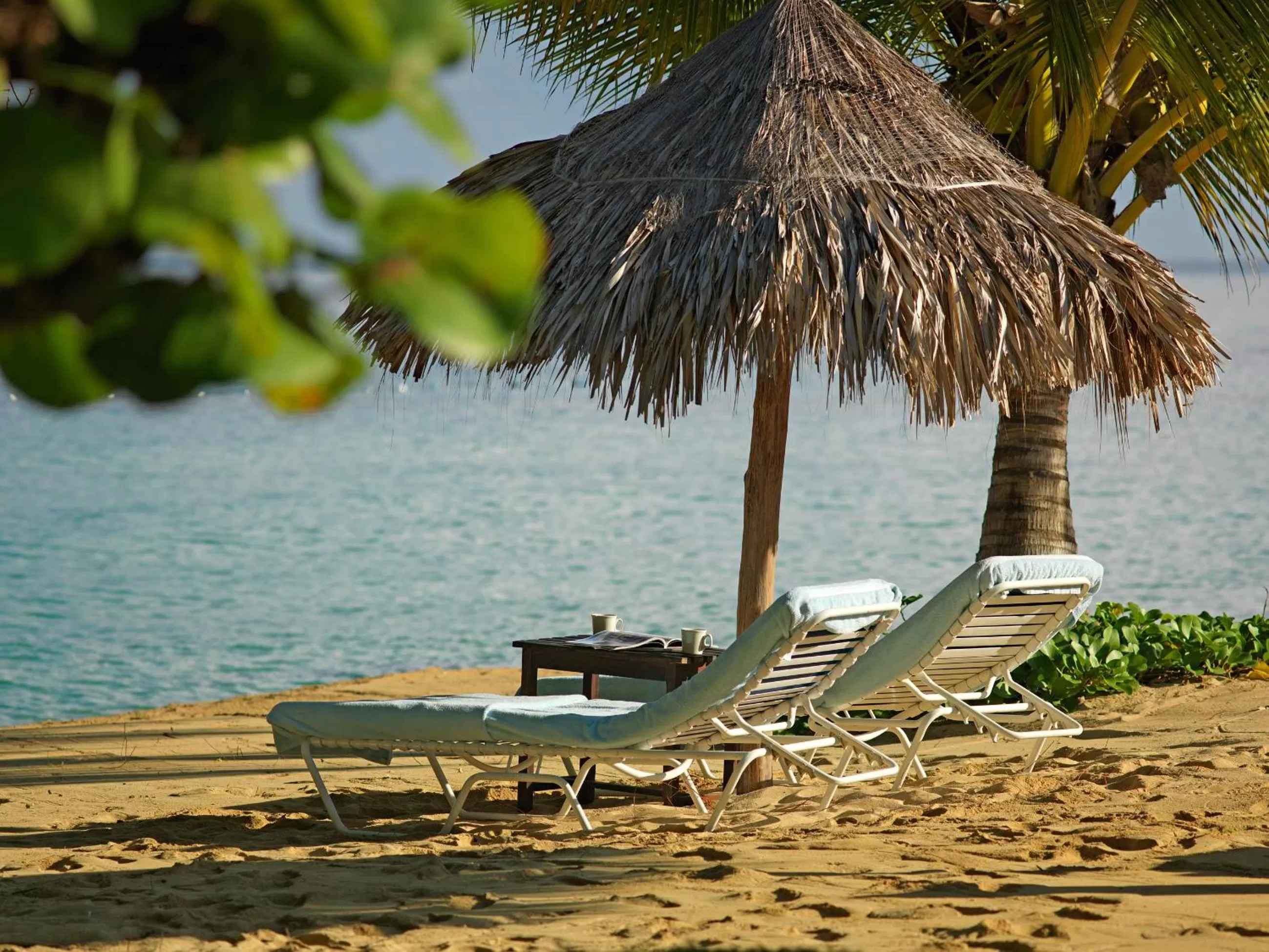 Natural landscape in Jamaica Inn