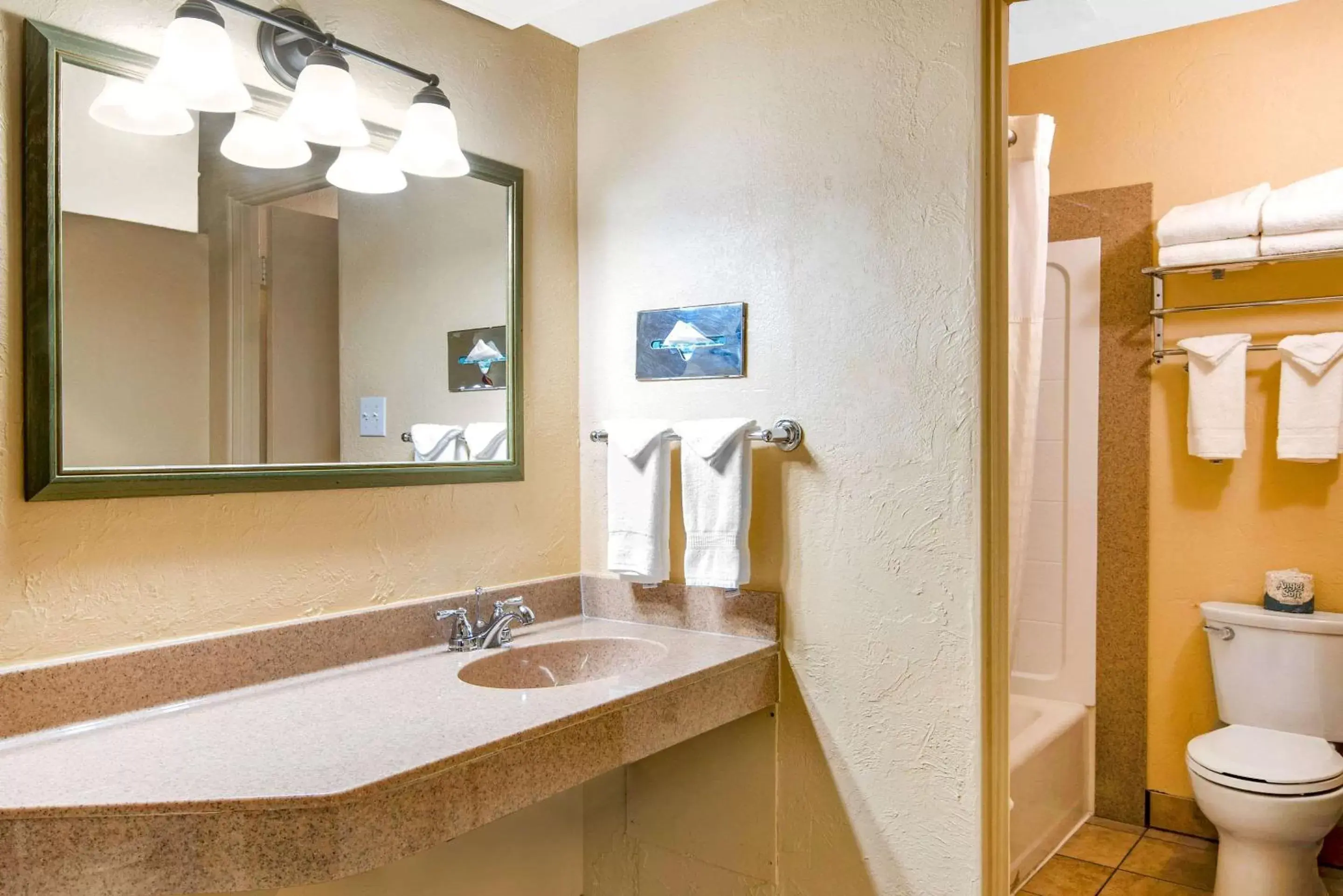 Bathroom in Econo Lodge Inn & Suites Durango