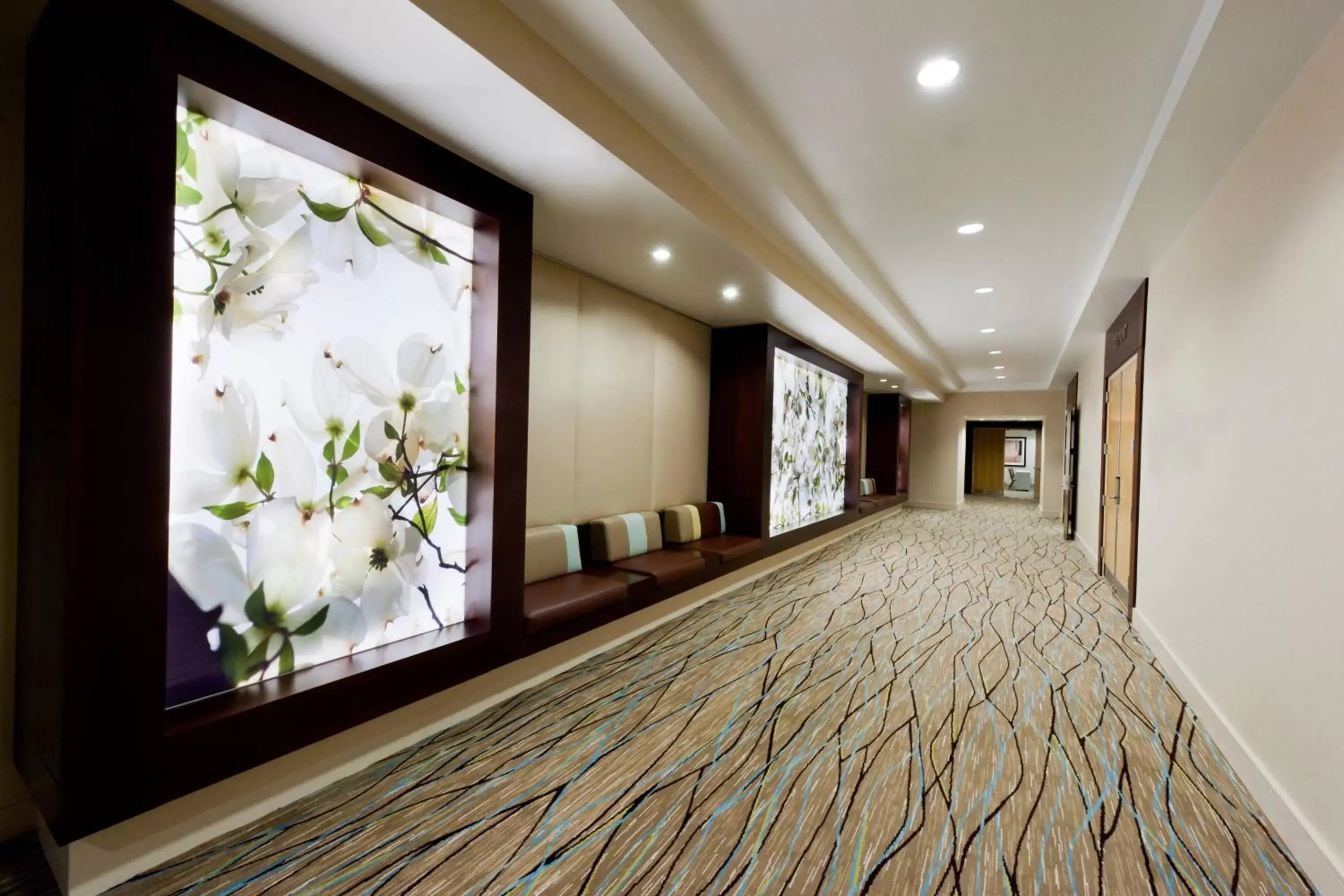 Meeting/conference room in Westin Georgetown, Washington D.C.