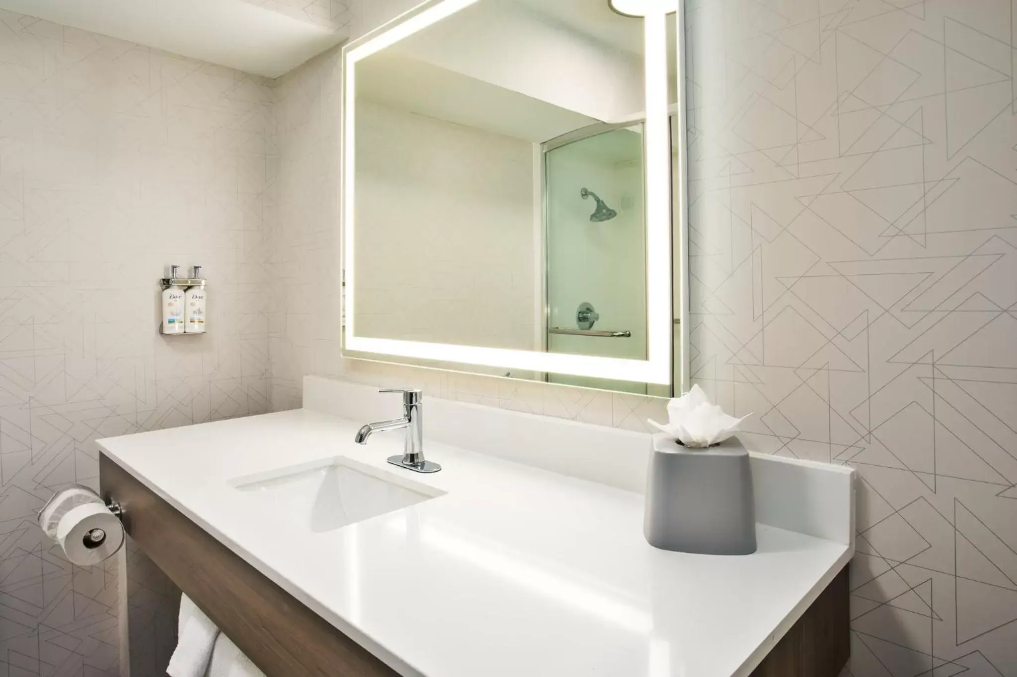 Bathroom in Holiday Inn Express Flagstaff, an IHG Hotel