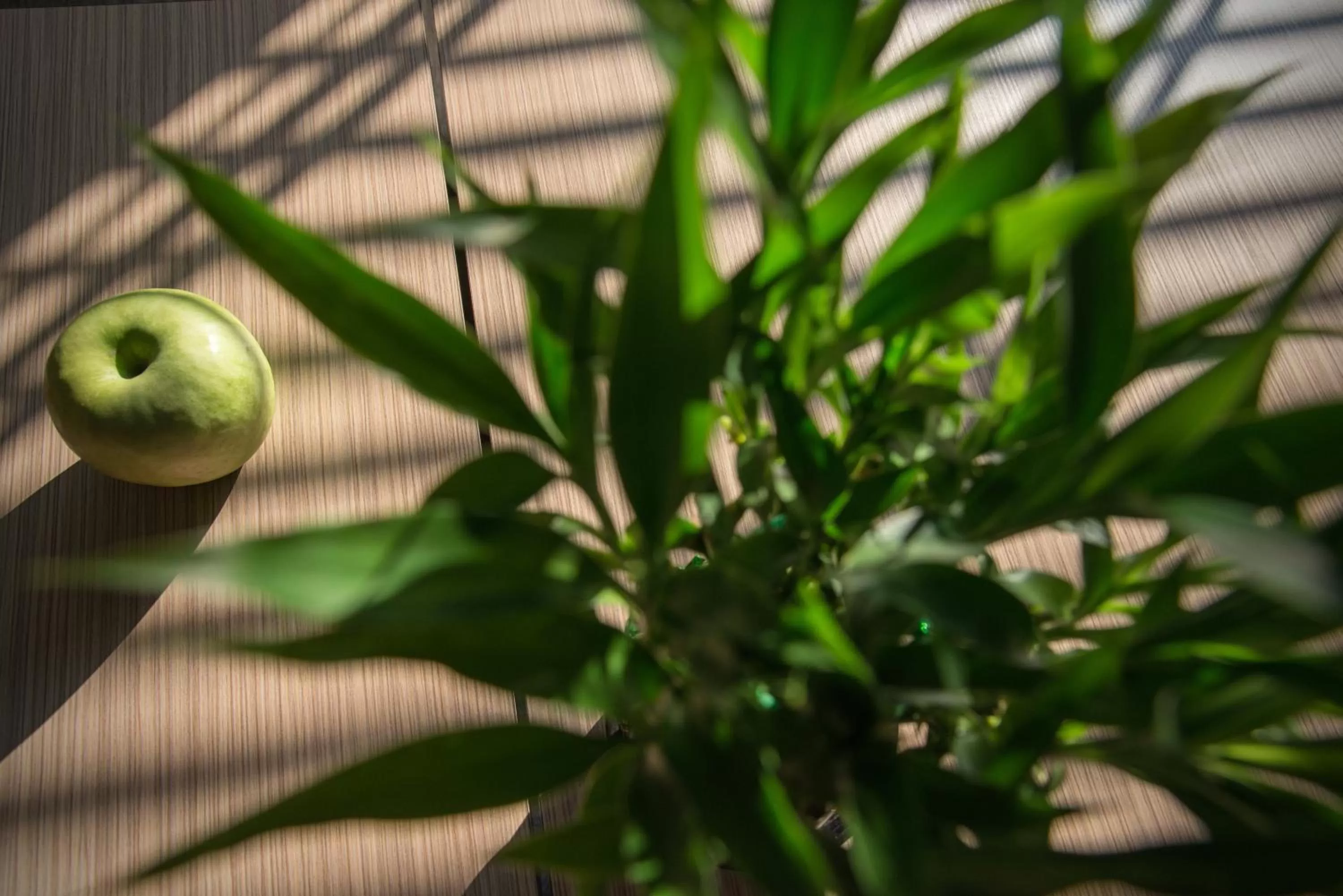 Lounge or bar in Rosslyn Thracia Hotel Sofia