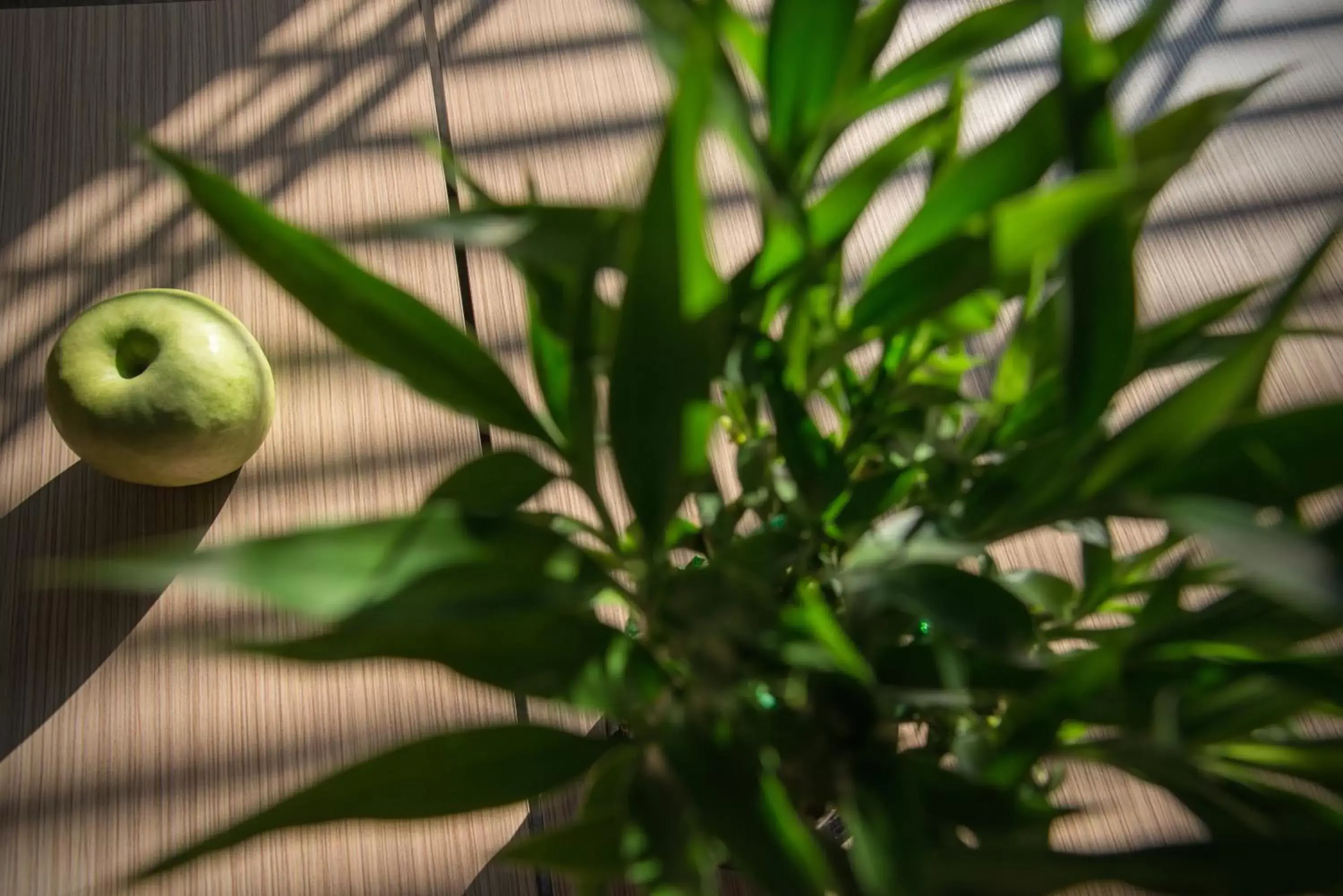 Lounge or bar in Rosslyn Thracia Hotel Sofia Lounge or bar in Rosslyn Thracia Hotel Sofia