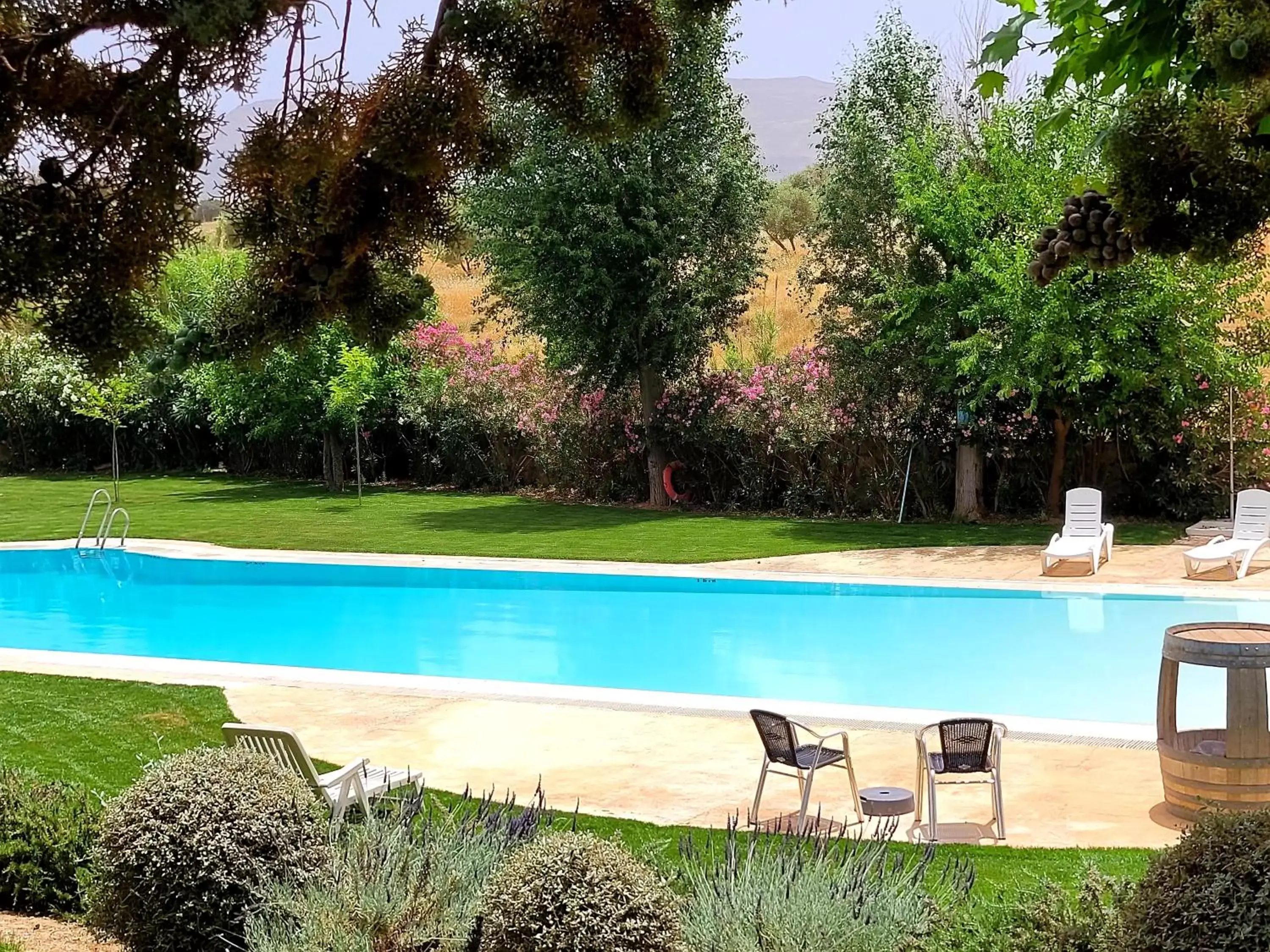 Property building, Swimming Pool in Hotel Bodega El Juncal Property building, Swimming Pool in Hotel Bodega El Juncal