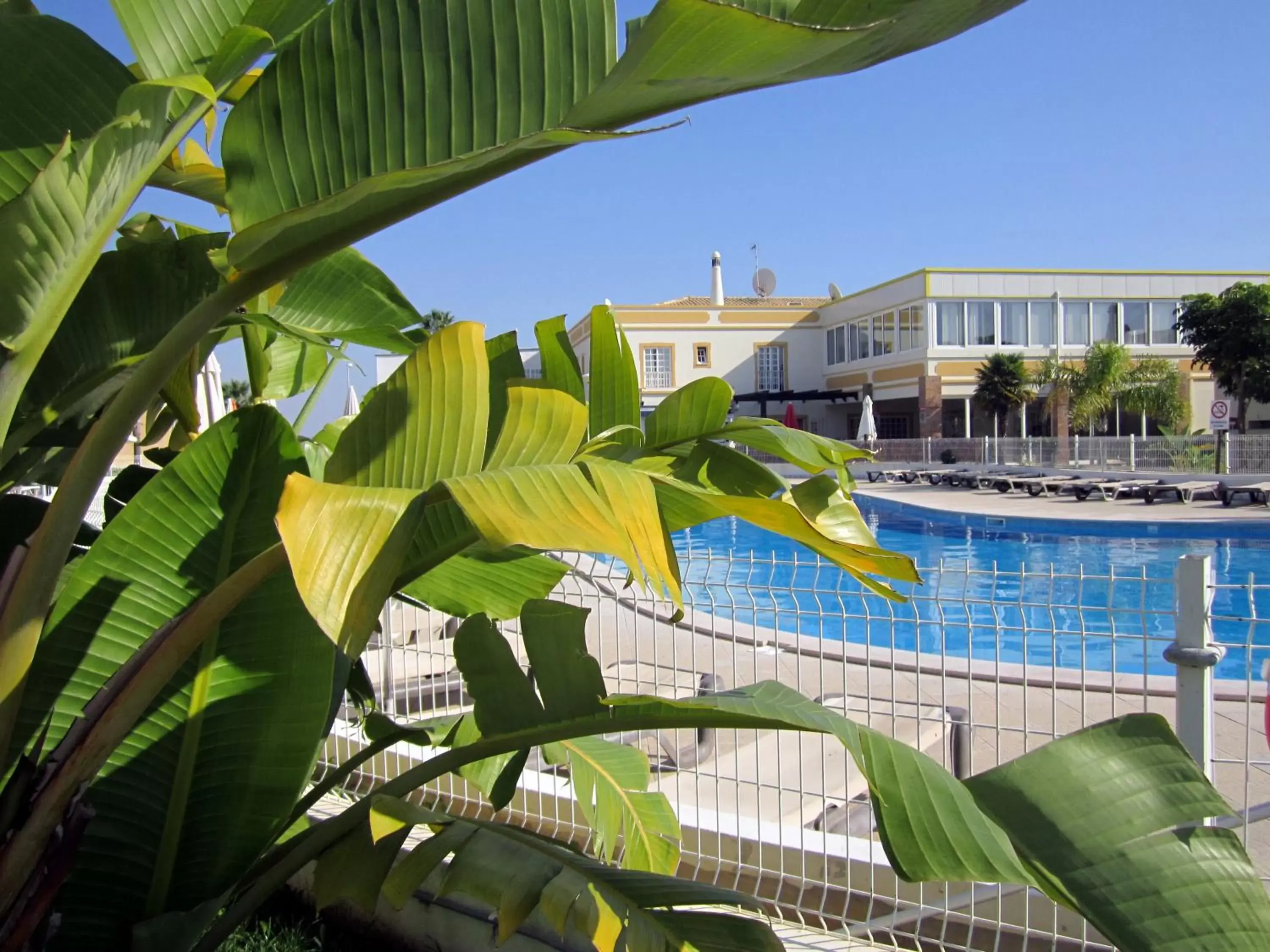 Garden, Swimming Pool in Ponta Grande Sao Rafael Resort by Umbral
