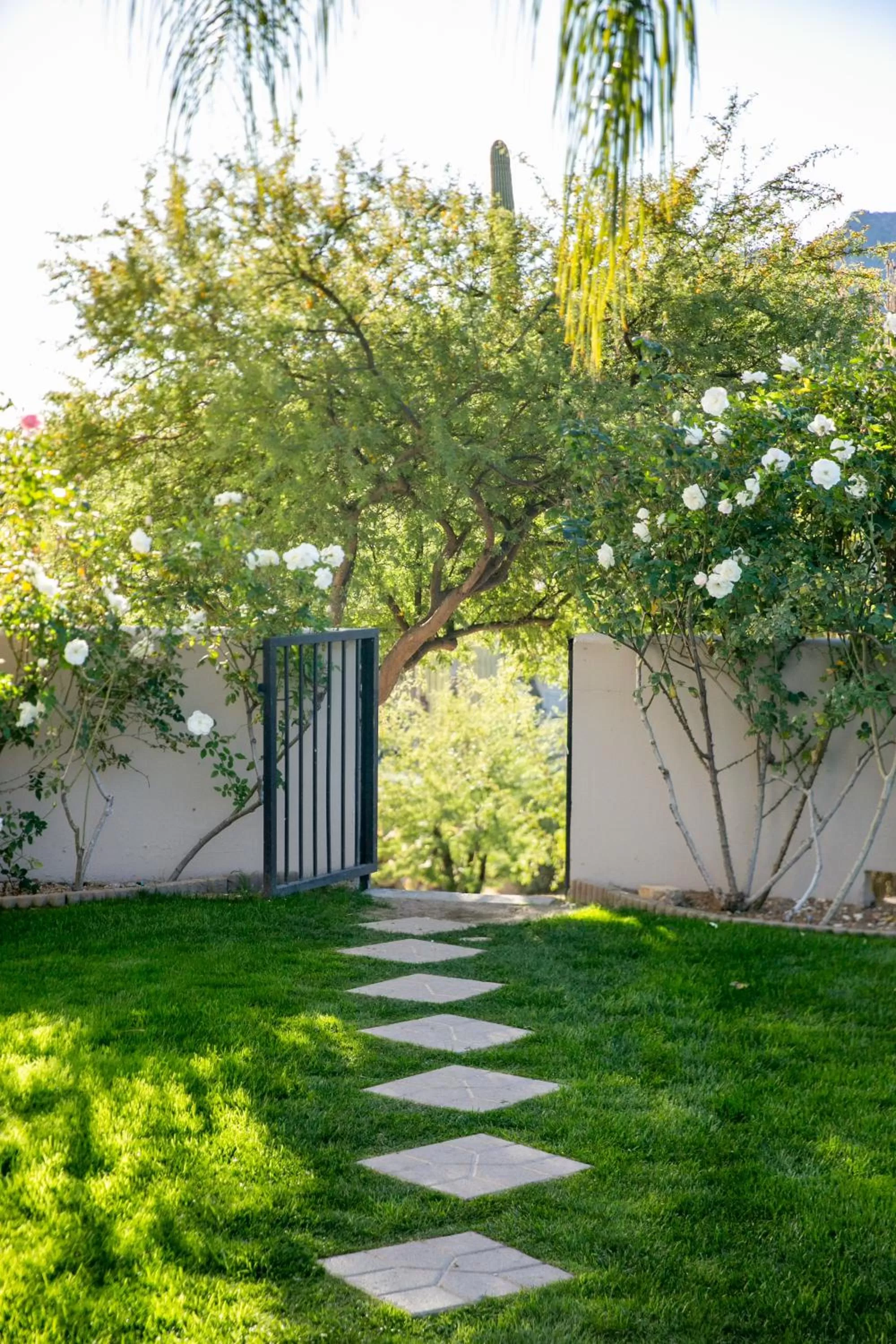 Garden in CIVANA Wellness Resort & Spa