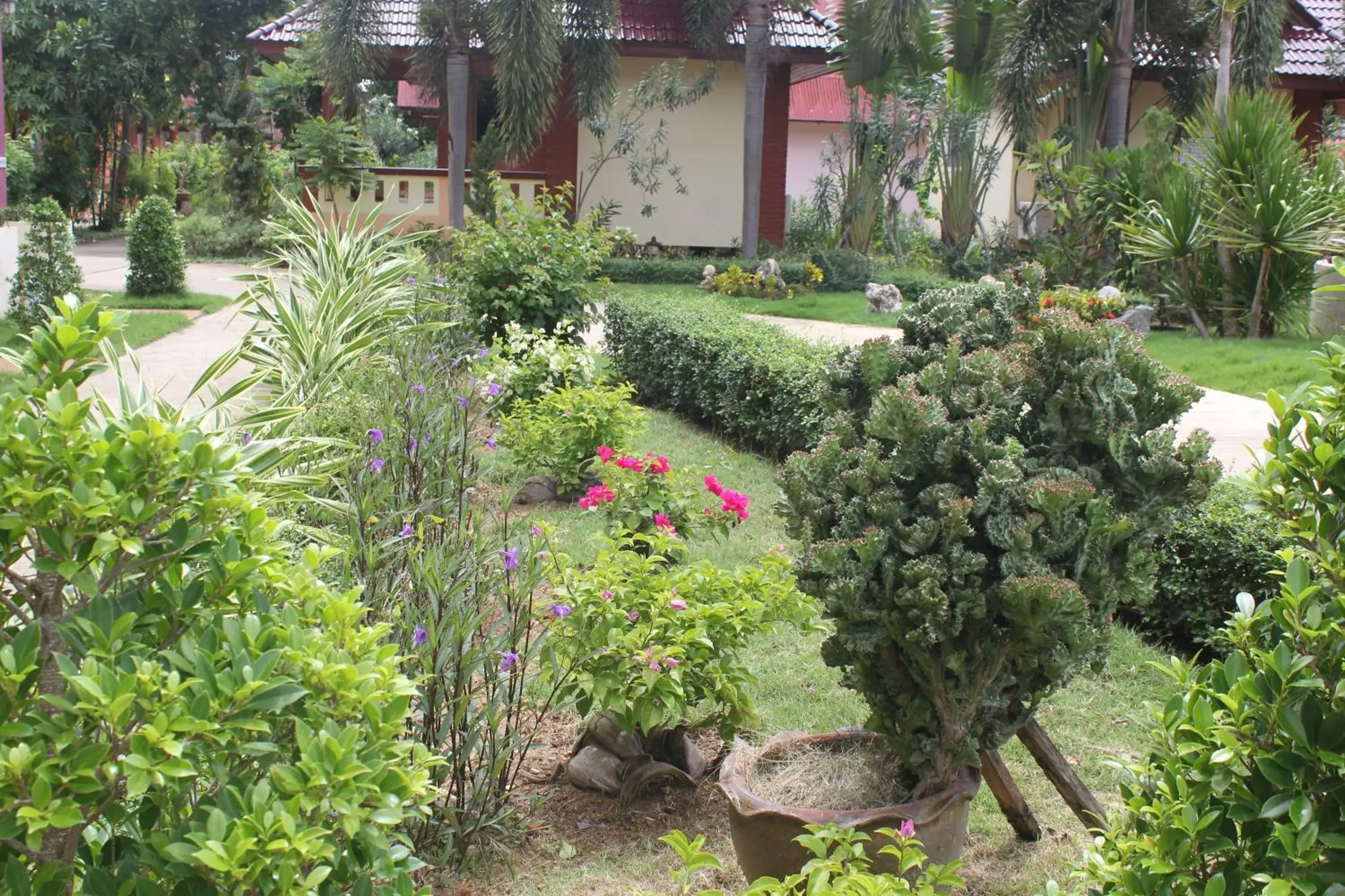 Garden in D.R. Lanta Bay Resort