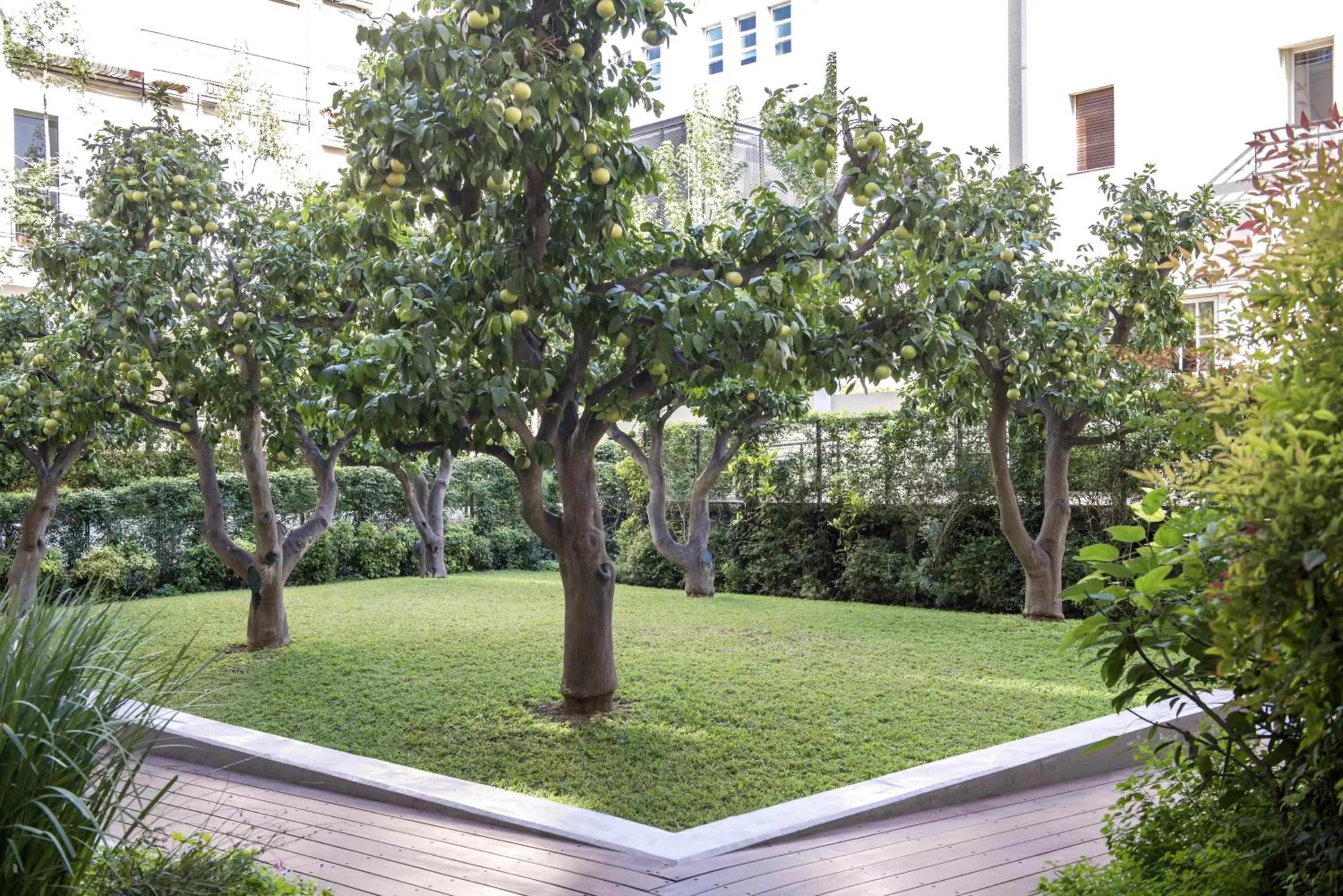 Day in The Norman Tel Aviv