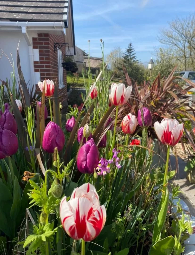 Toppesfield House B&B