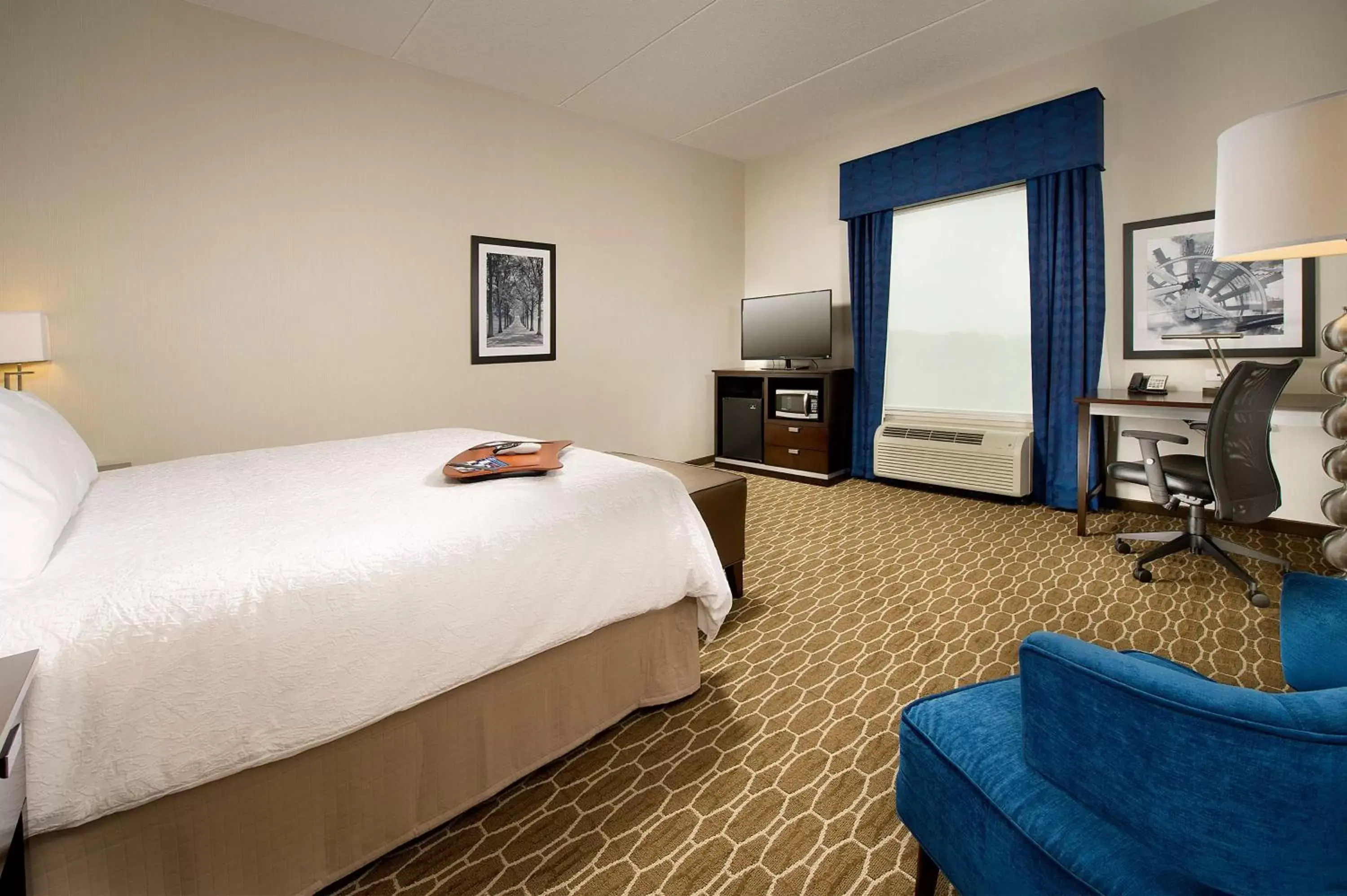 Bedroom in Hampton Inn and Suites Washington DC North/Gaithersburg