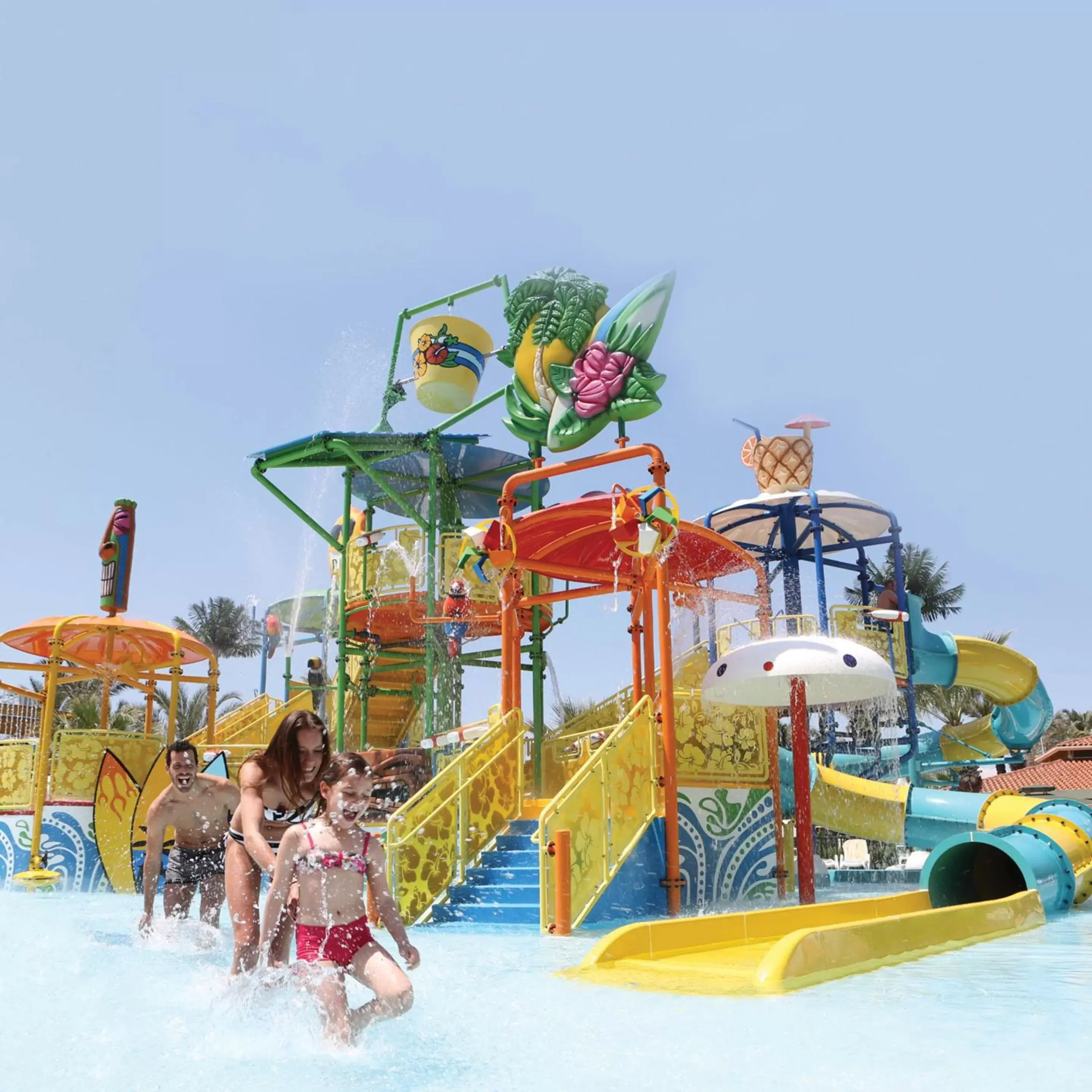 Swimming pool, Water Park in Paloma Grida