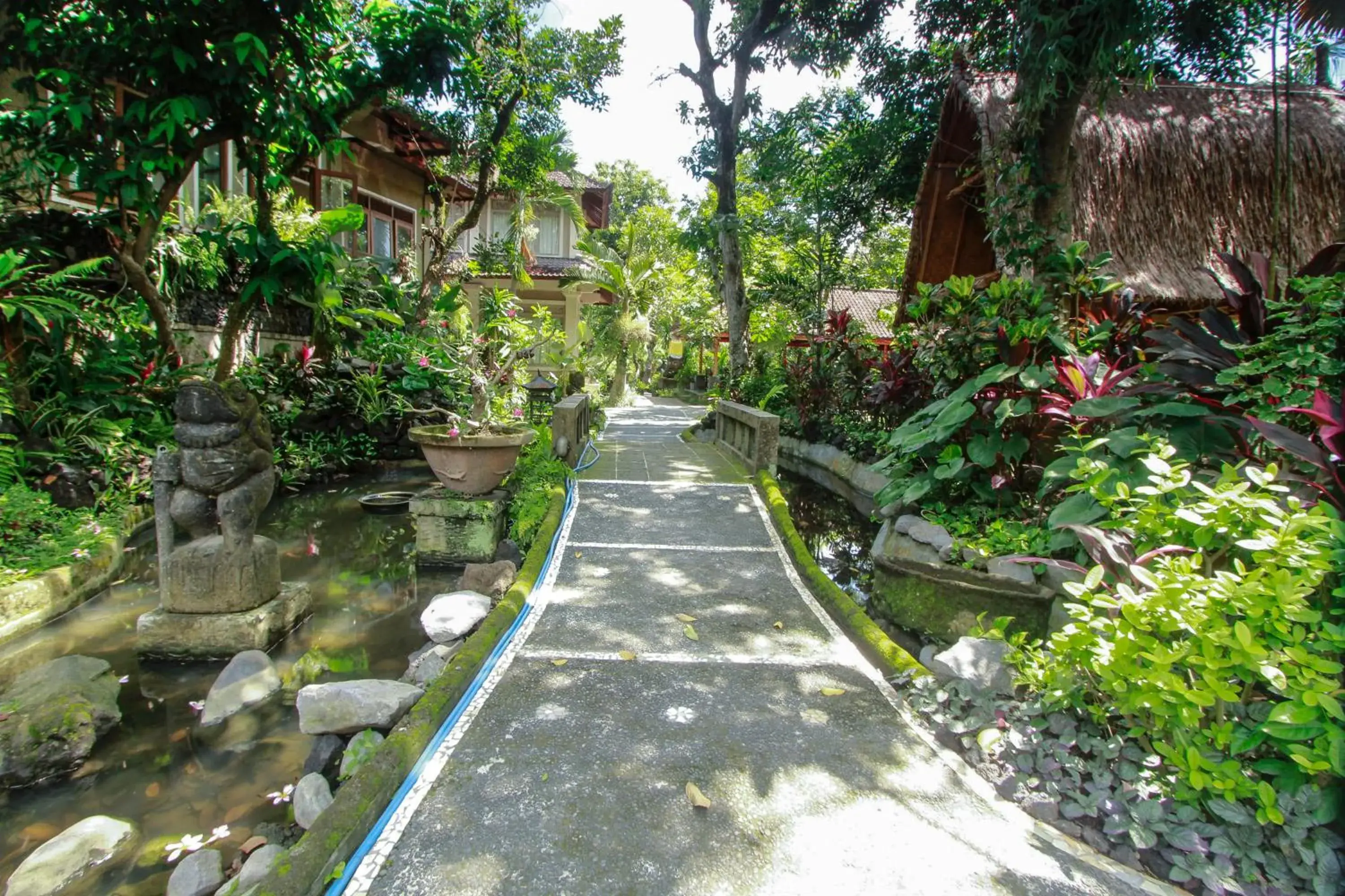 Natural landscape in Dewangga Ubud