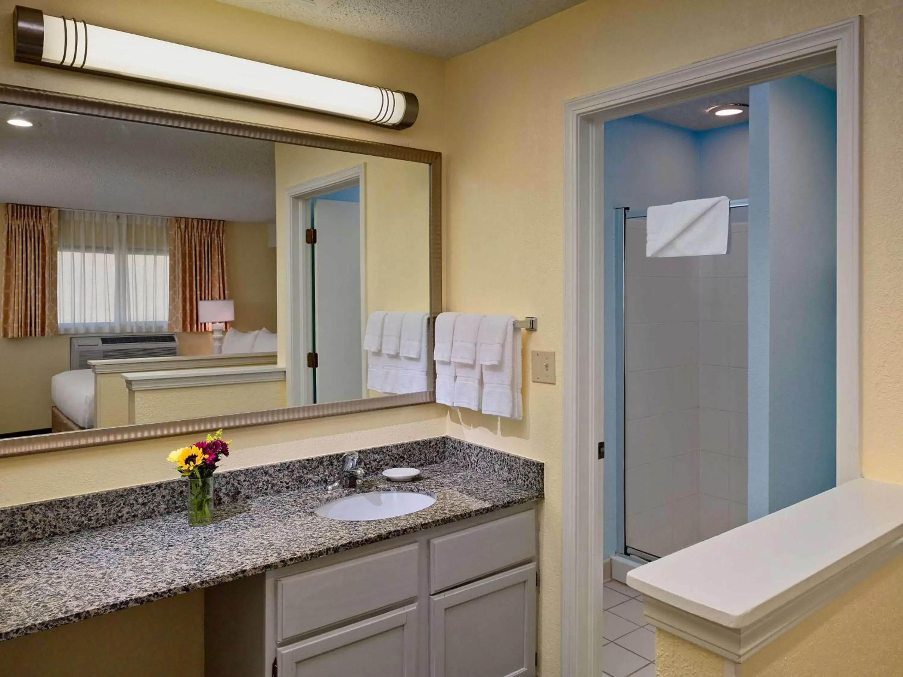 Bathroom in Sonesta ES Suites Memphis