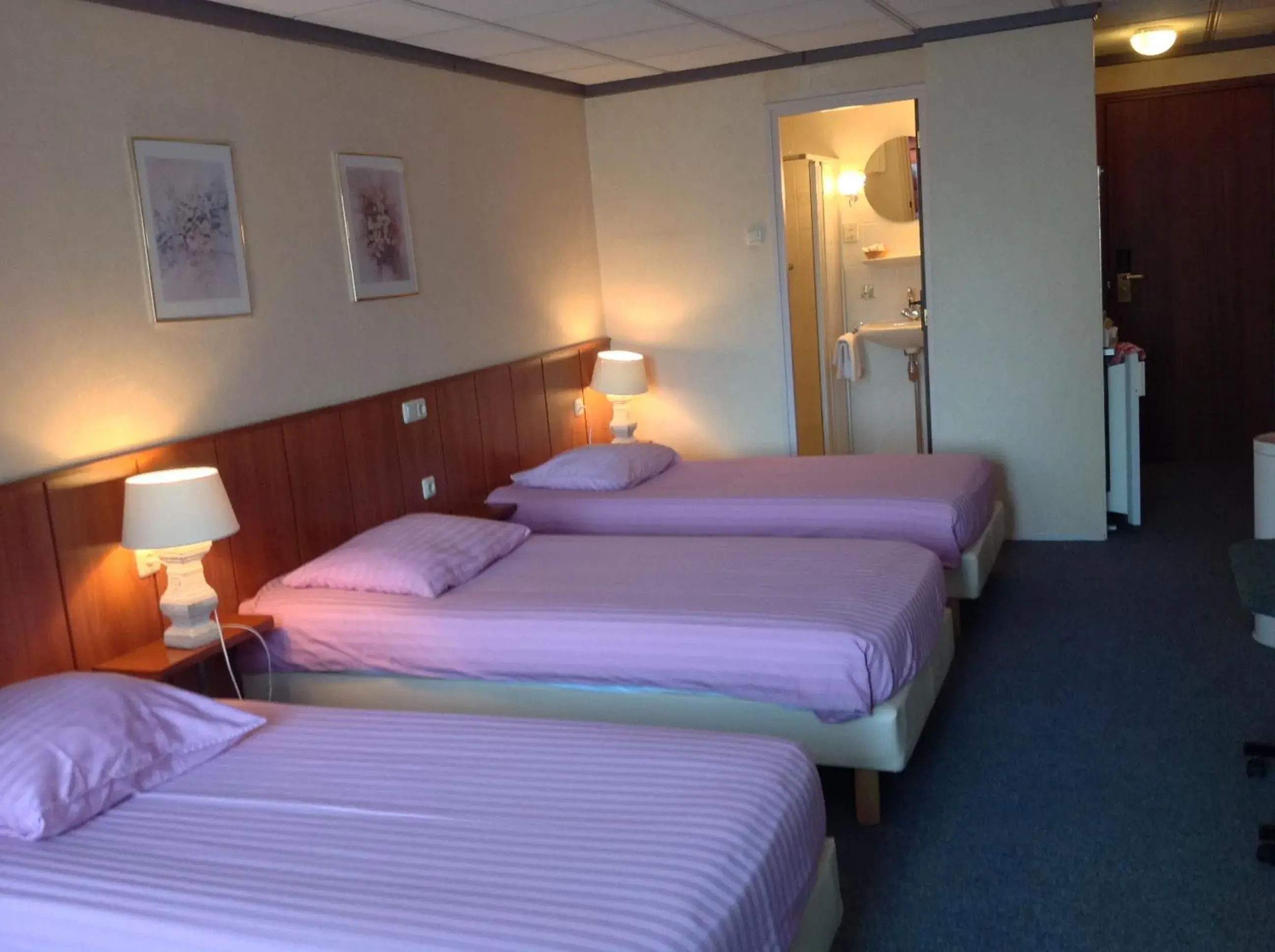 Photo of the whole room, Bed in SuyderSee Hotel