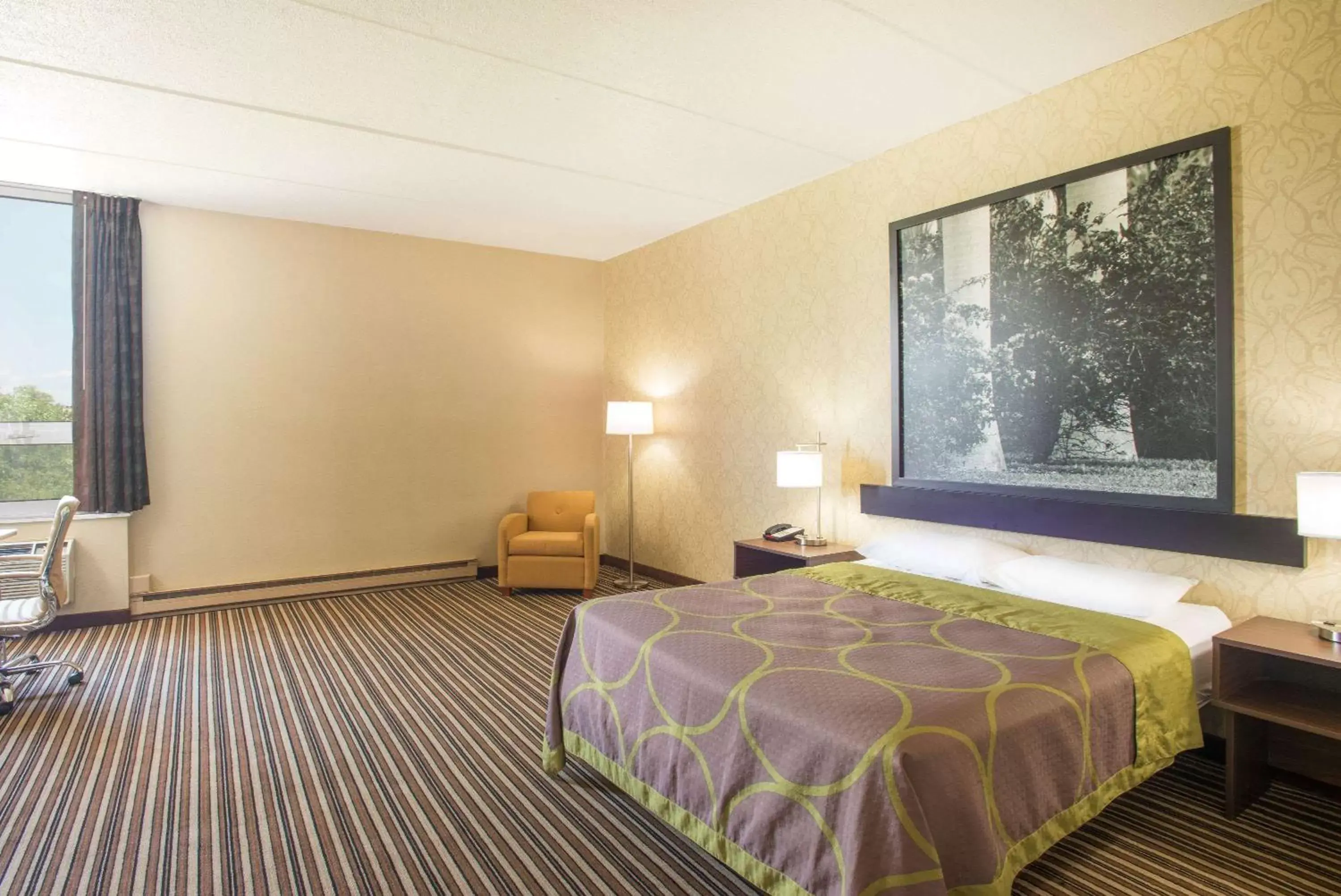 Photo of the whole room, Bed in Super 8 by Wyndham Plattsburgh Photo of the whole room, Bed in Super 8 by Wyndham Plattsburgh