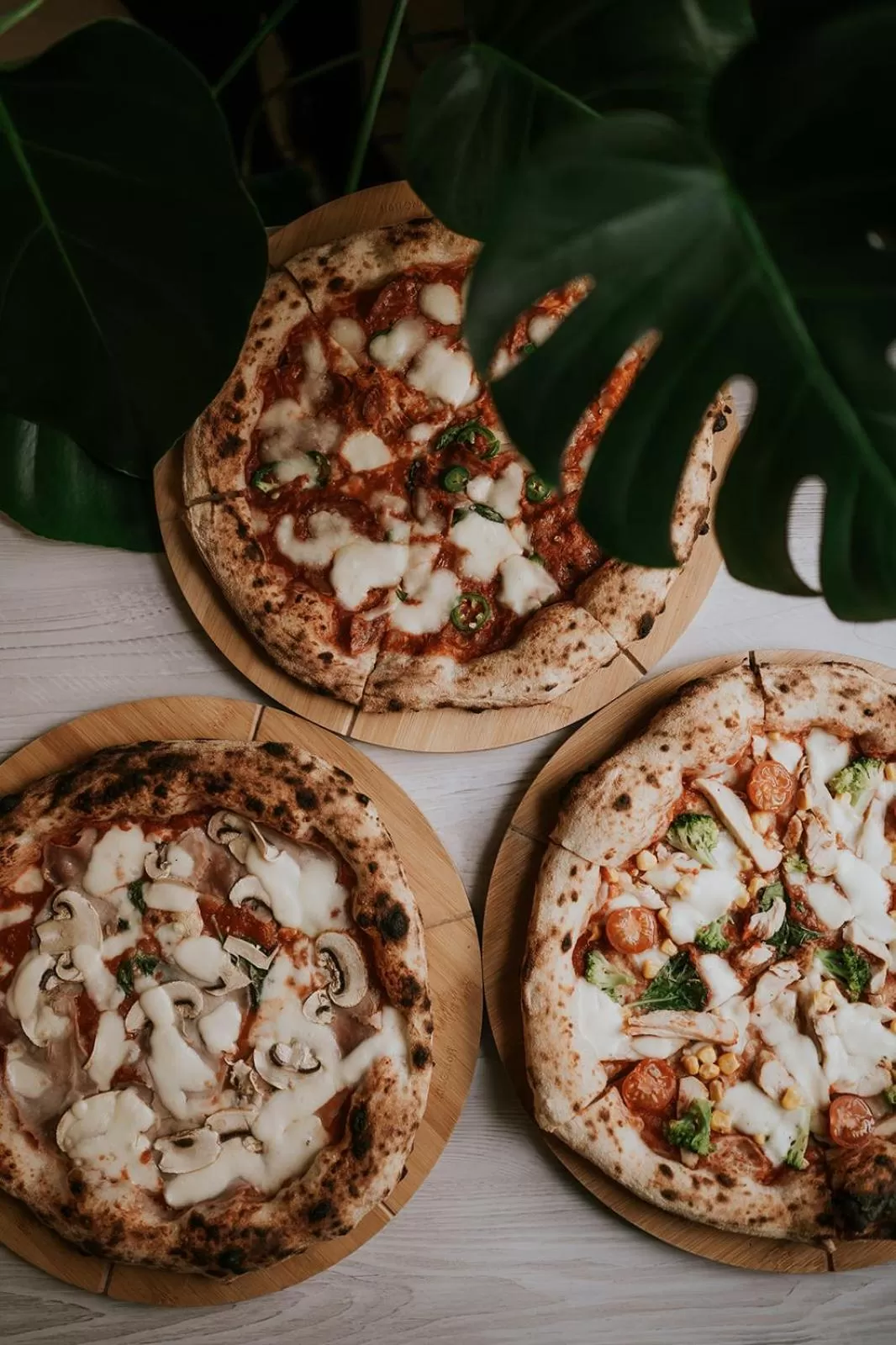 Food in Hotel Garden