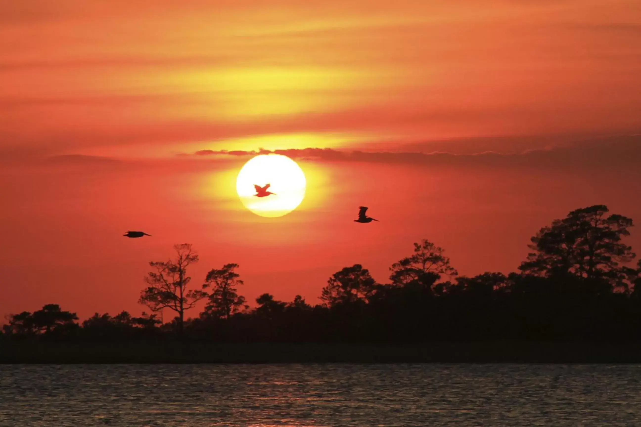 Activities, Sunrise/Sunset in Hotel Tybee