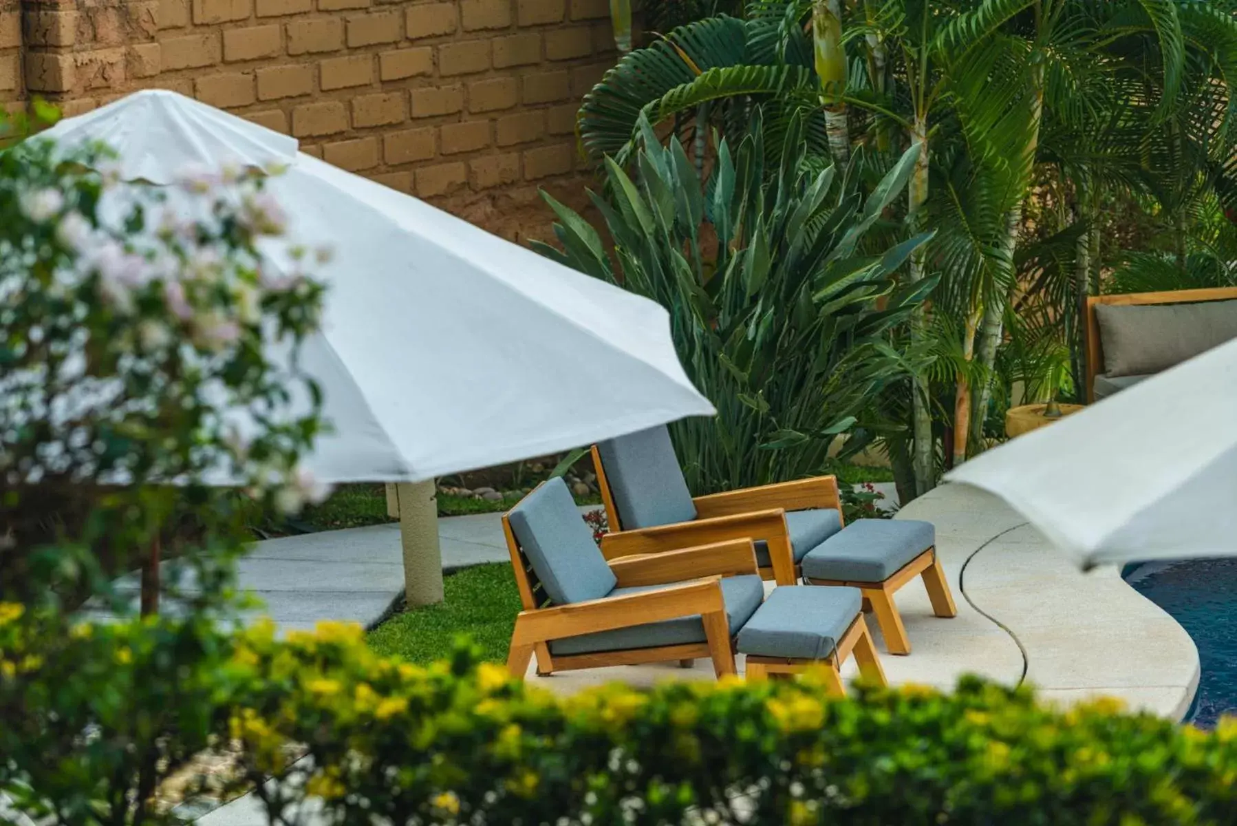 Garden, Swimming Pool in La Villa Luz (sólo adultos)