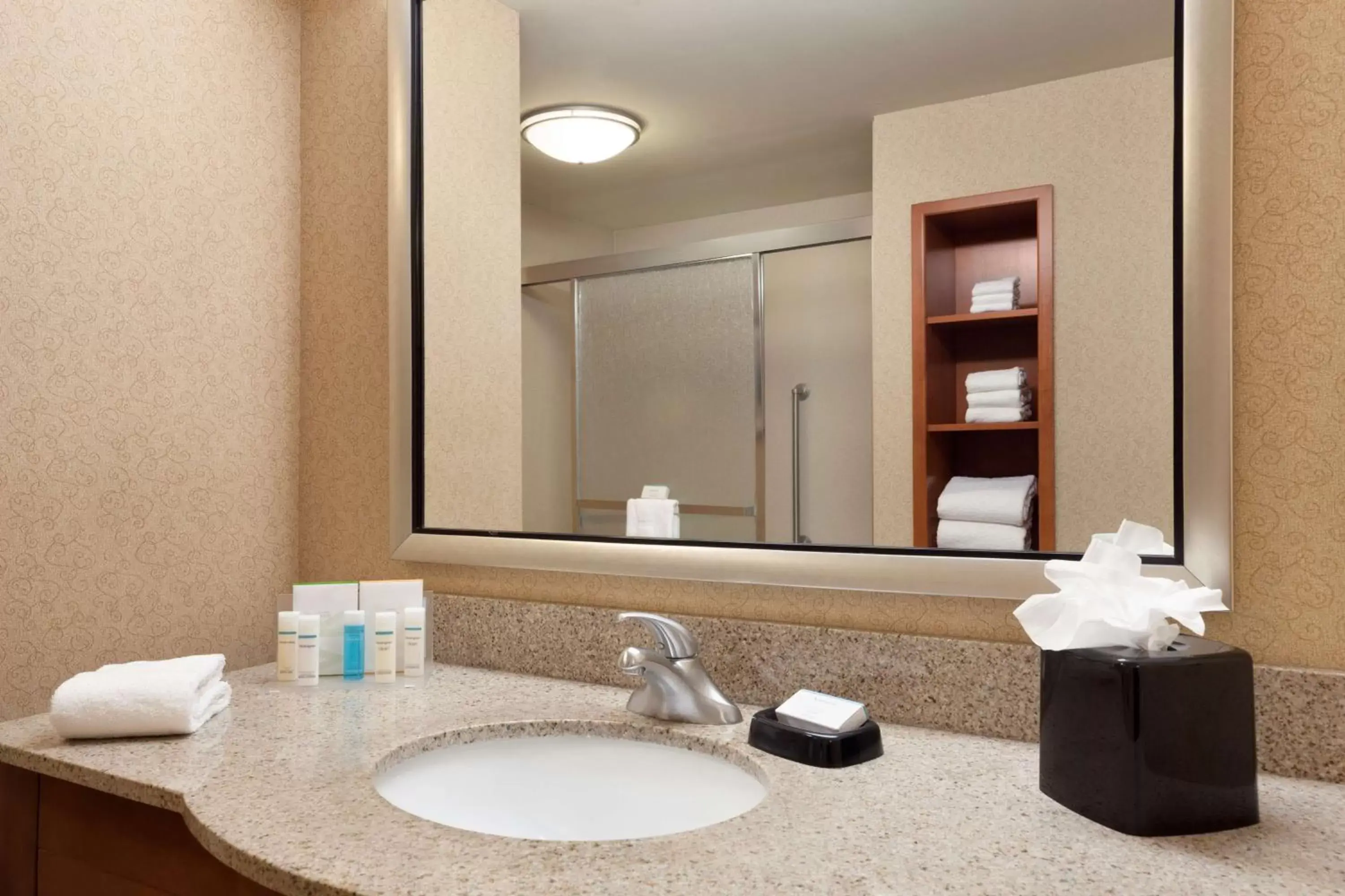 Bathroom in Hampton Inn & Suites East Hartford