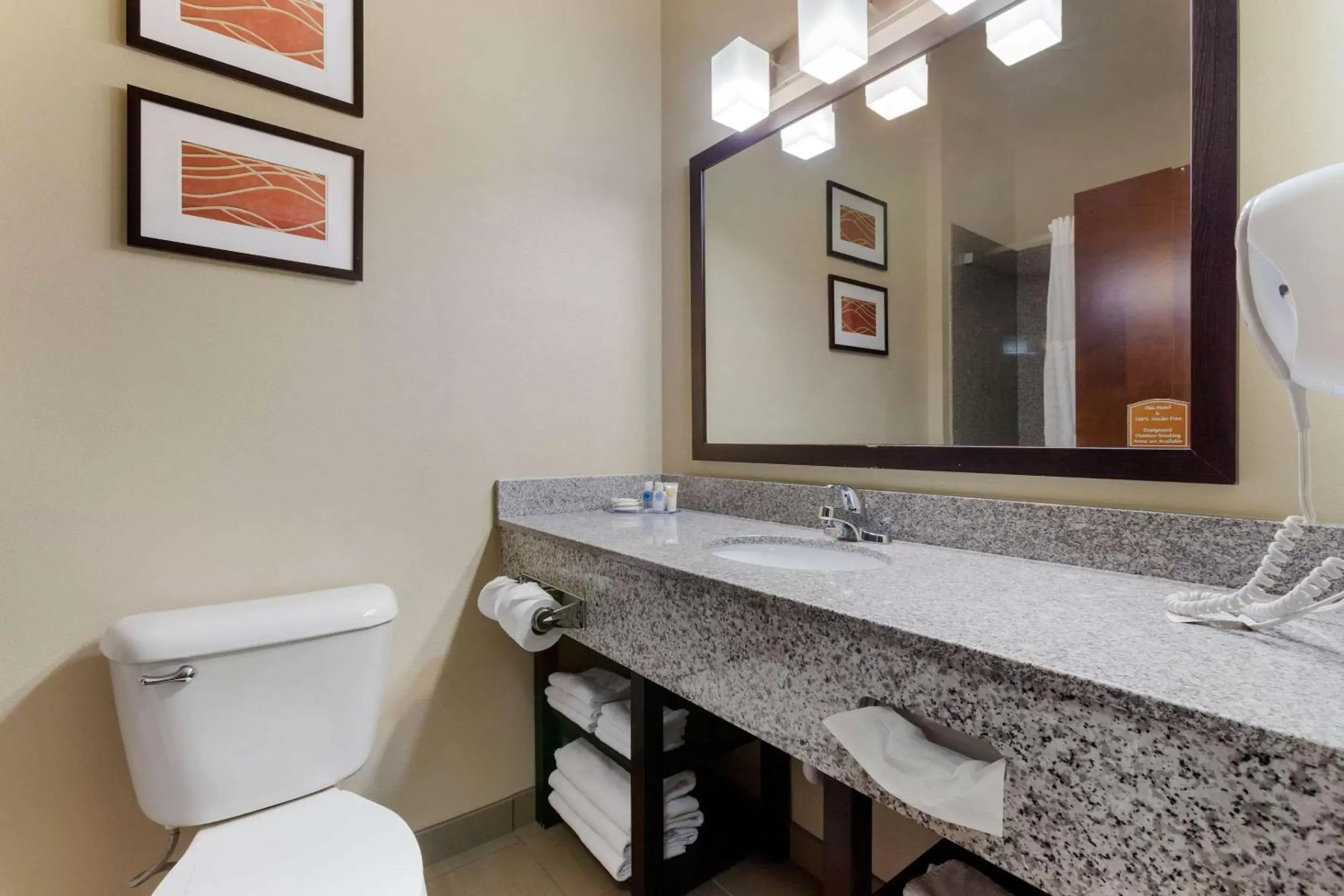 Photo of the whole room, Bathroom in Comfort Inn & Suites Page at Lake Powell