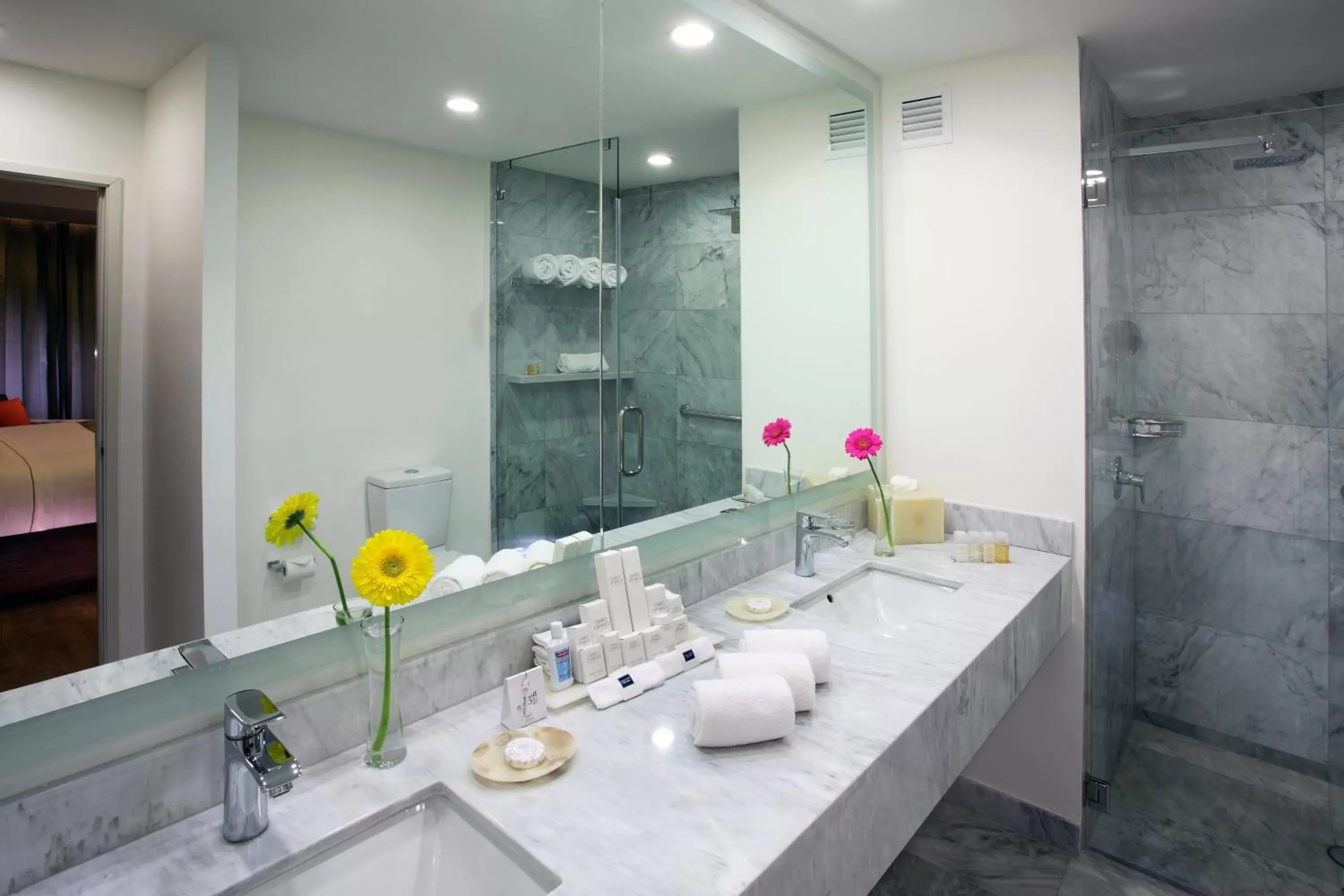 Bathroom in HS HOTSSON Hotel Queretaro