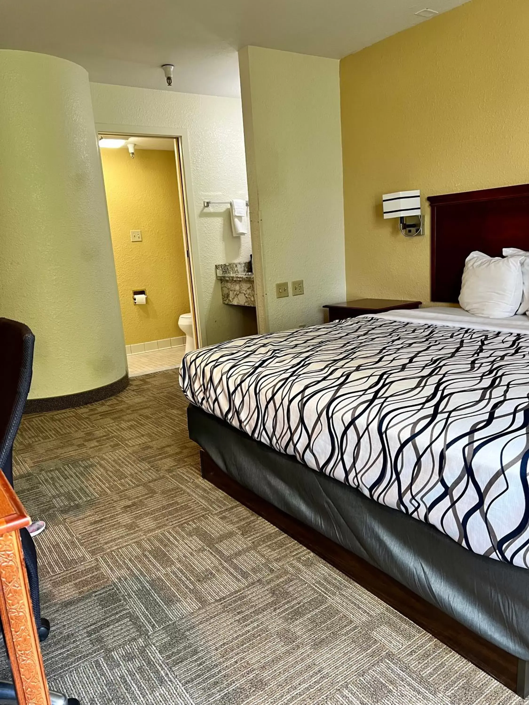 Photo of the whole room, Bed in Rodeway Inn Airport Boise