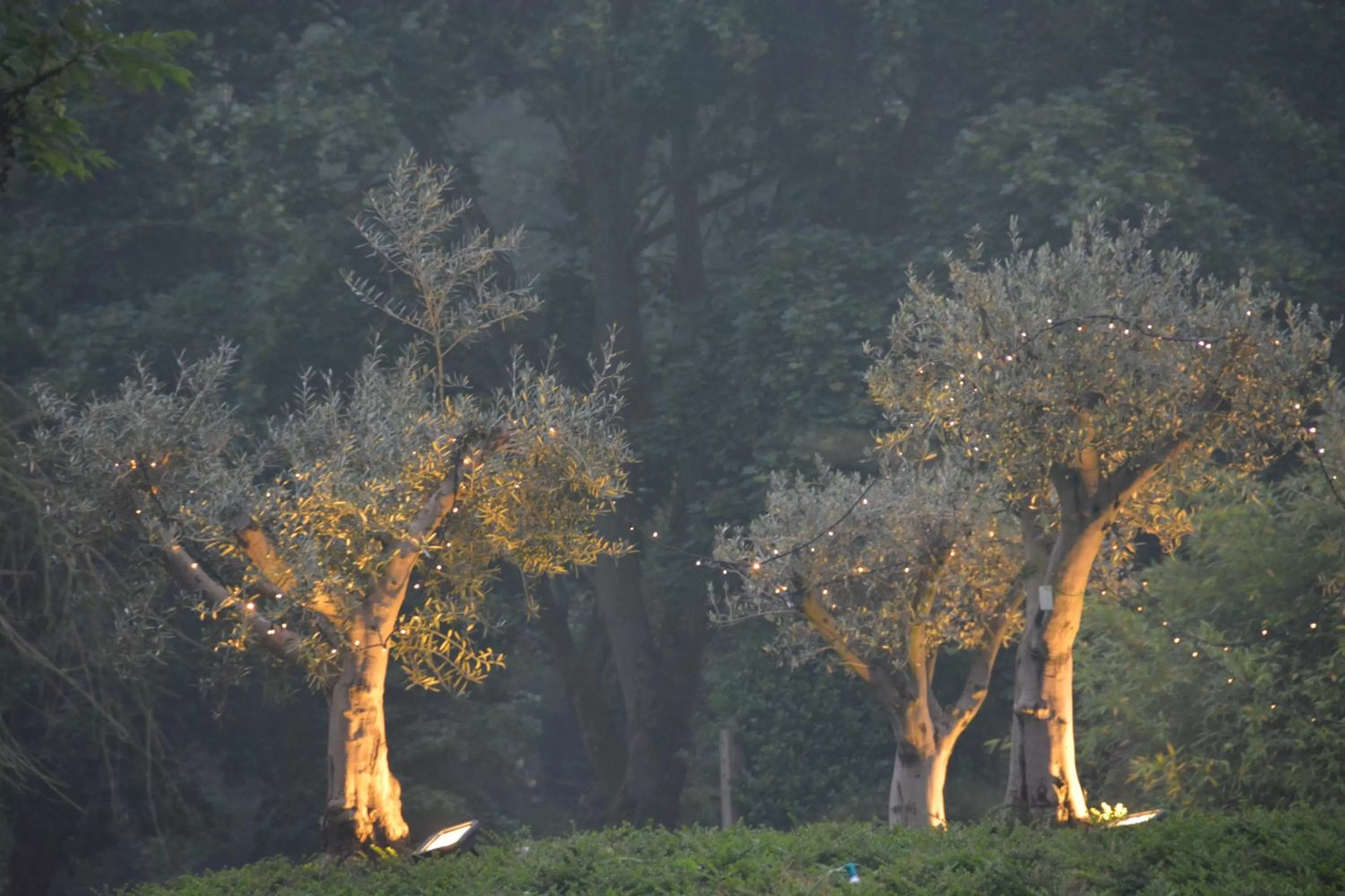 Garden view in Haras des Chartreux