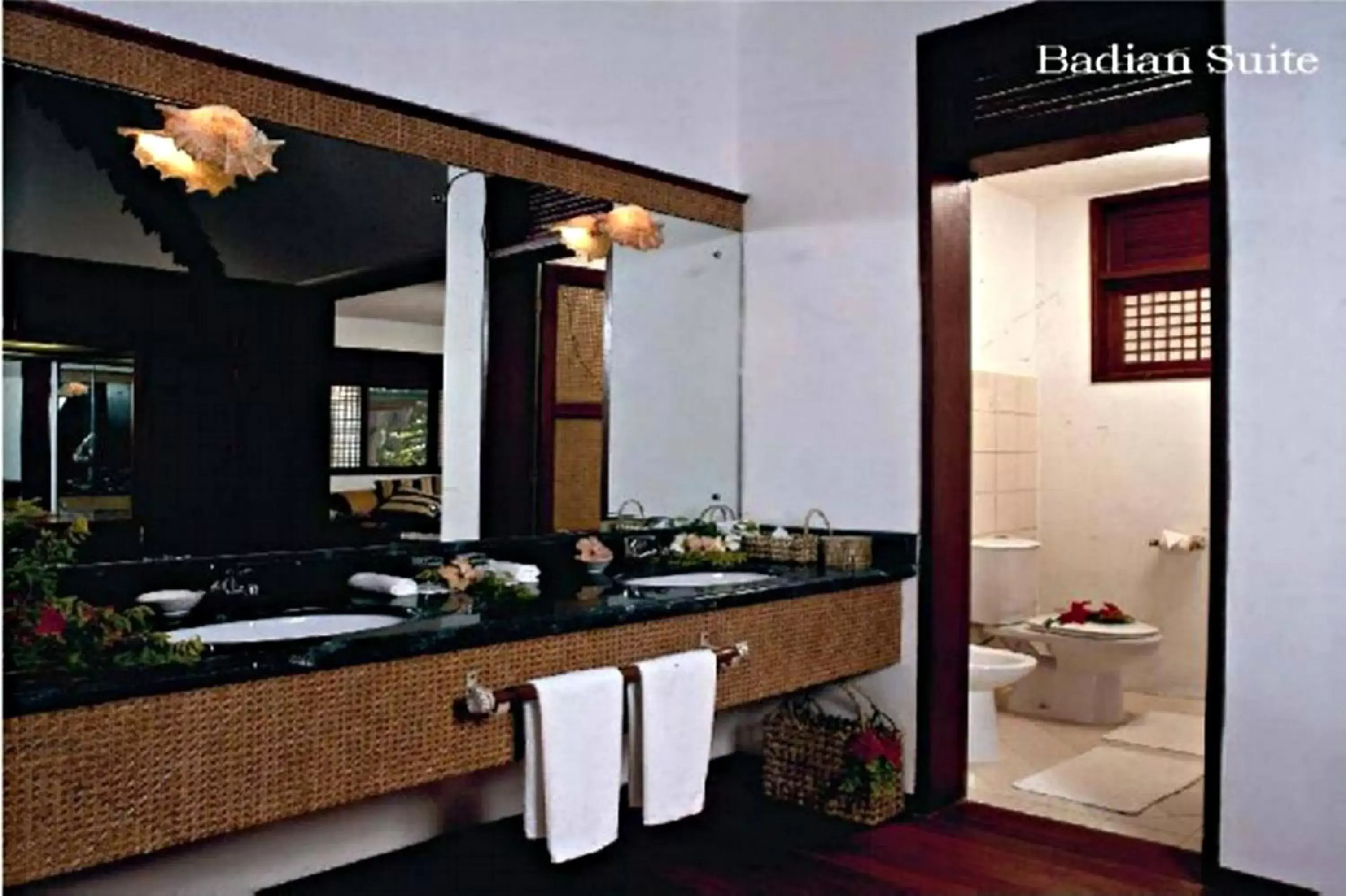 Toilet, Bathroom in Badian Island Wellness Resort