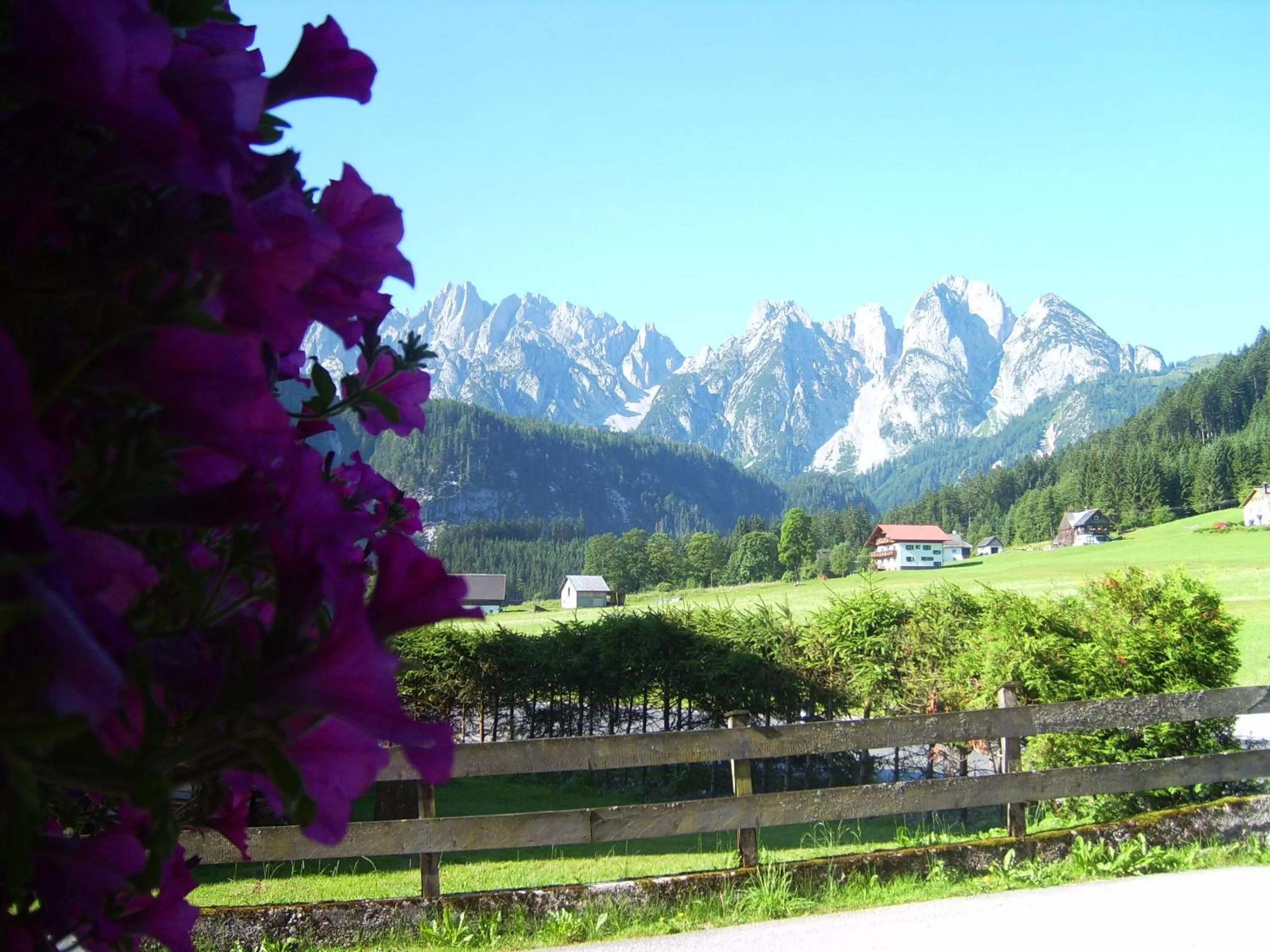 Nearby landmark in Privatpension Gosaukammblick