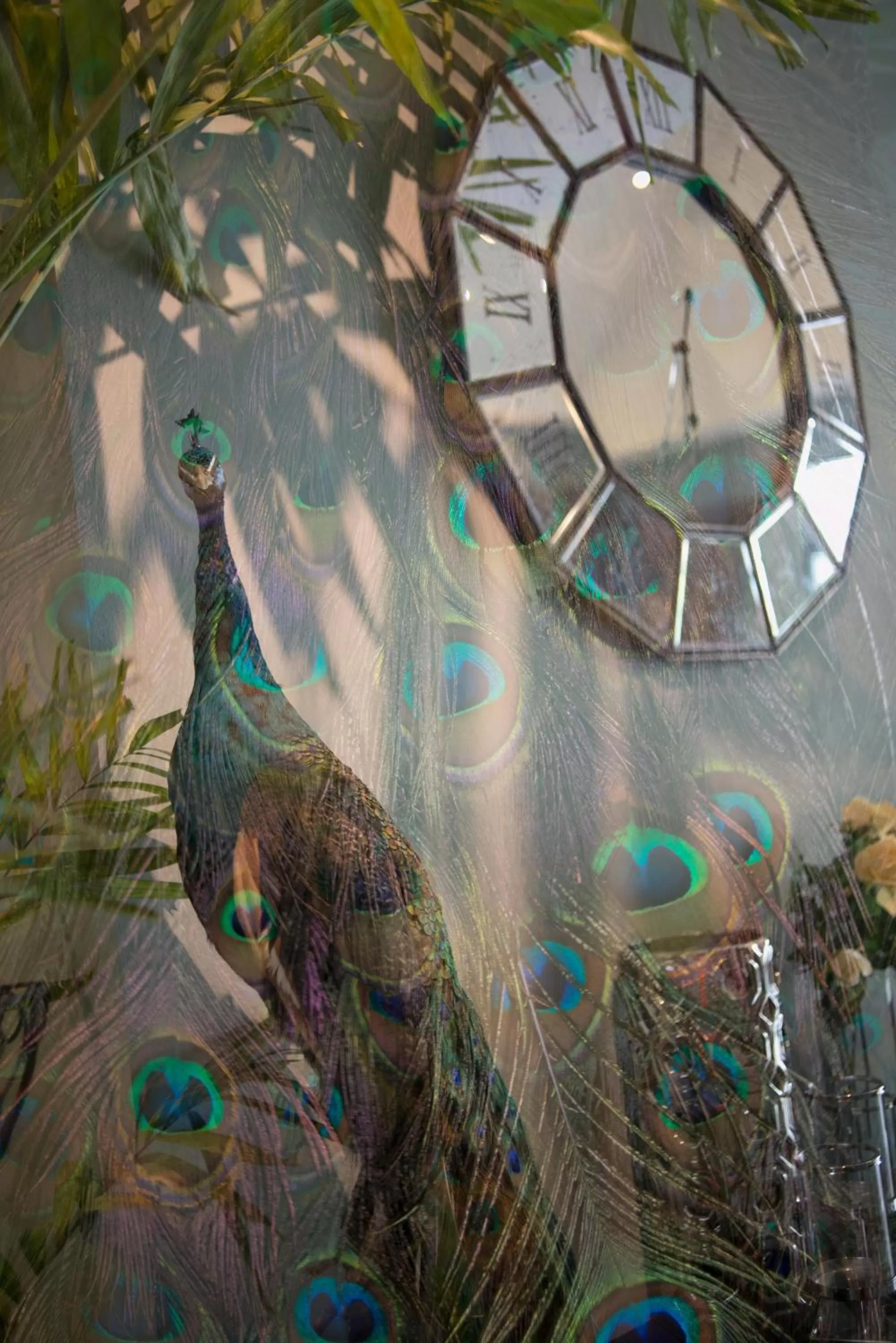 Property building in Sri Ngachang