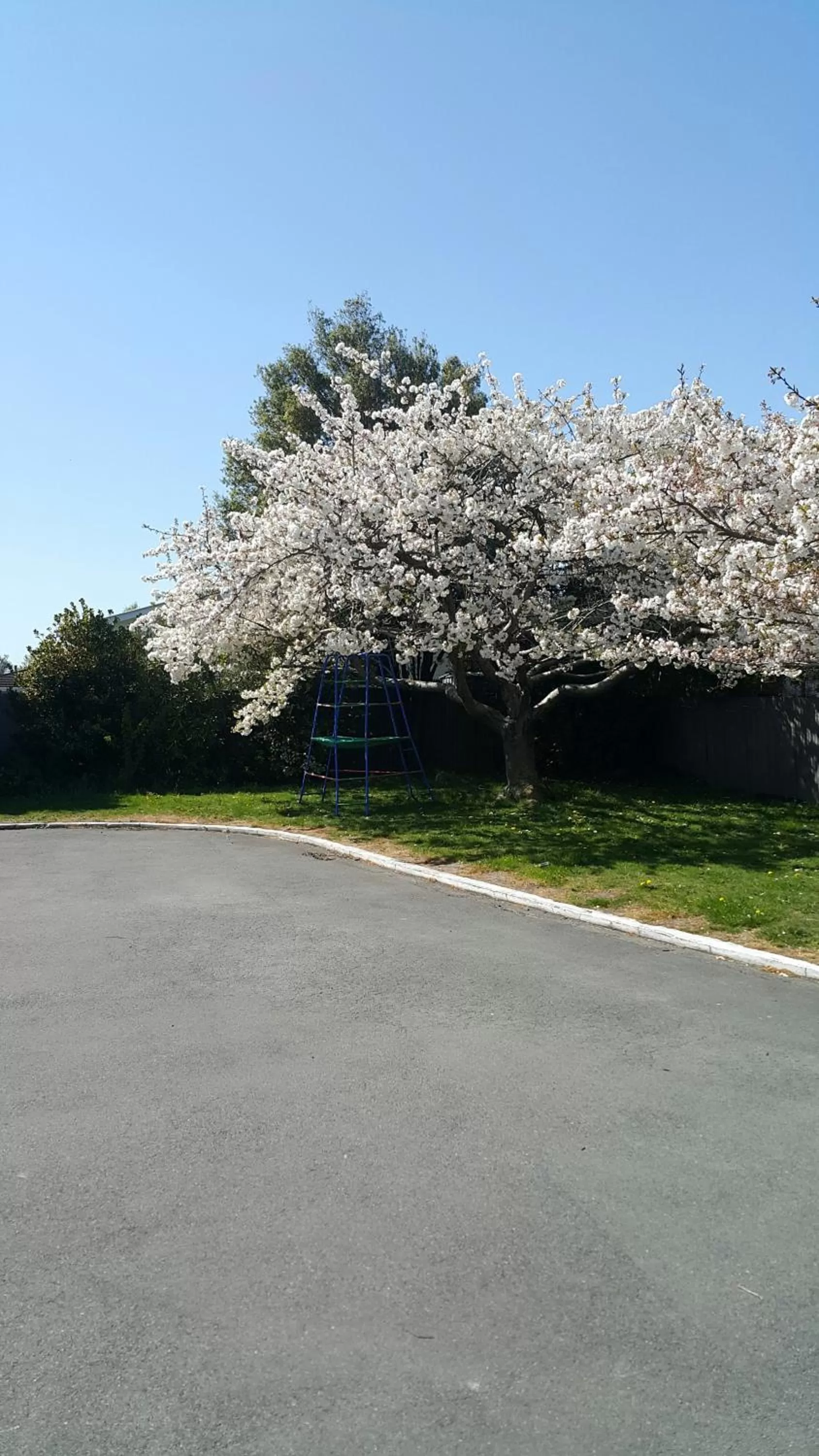 Day in Lilybrook Motel