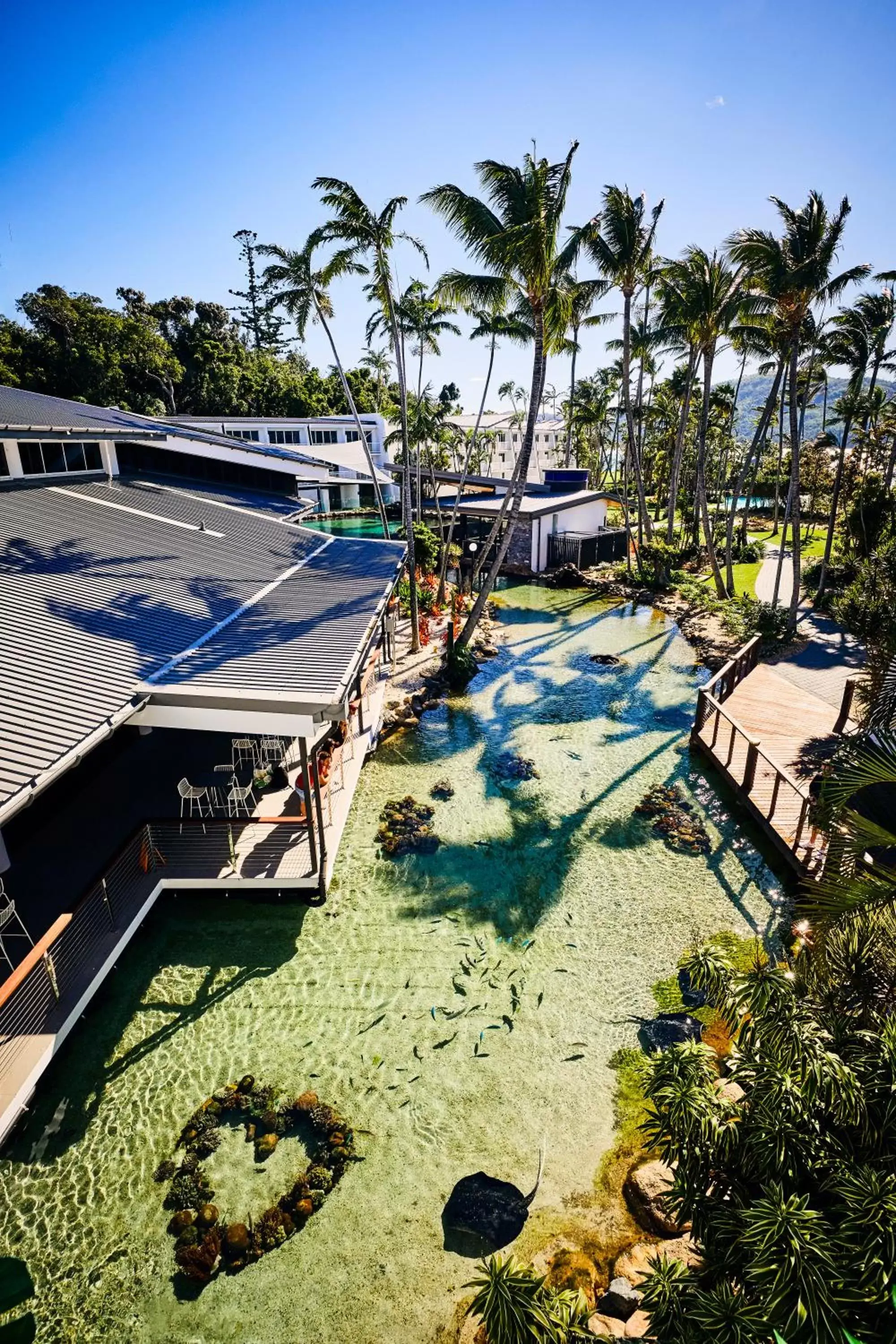 Activities, Pool View in Daydream Island Resort