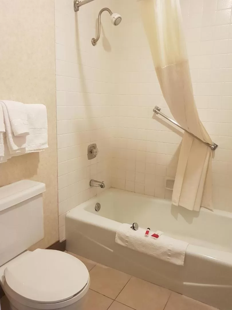 Travelodge by Wyndham Costa Mesa Newport Beach Hacienda