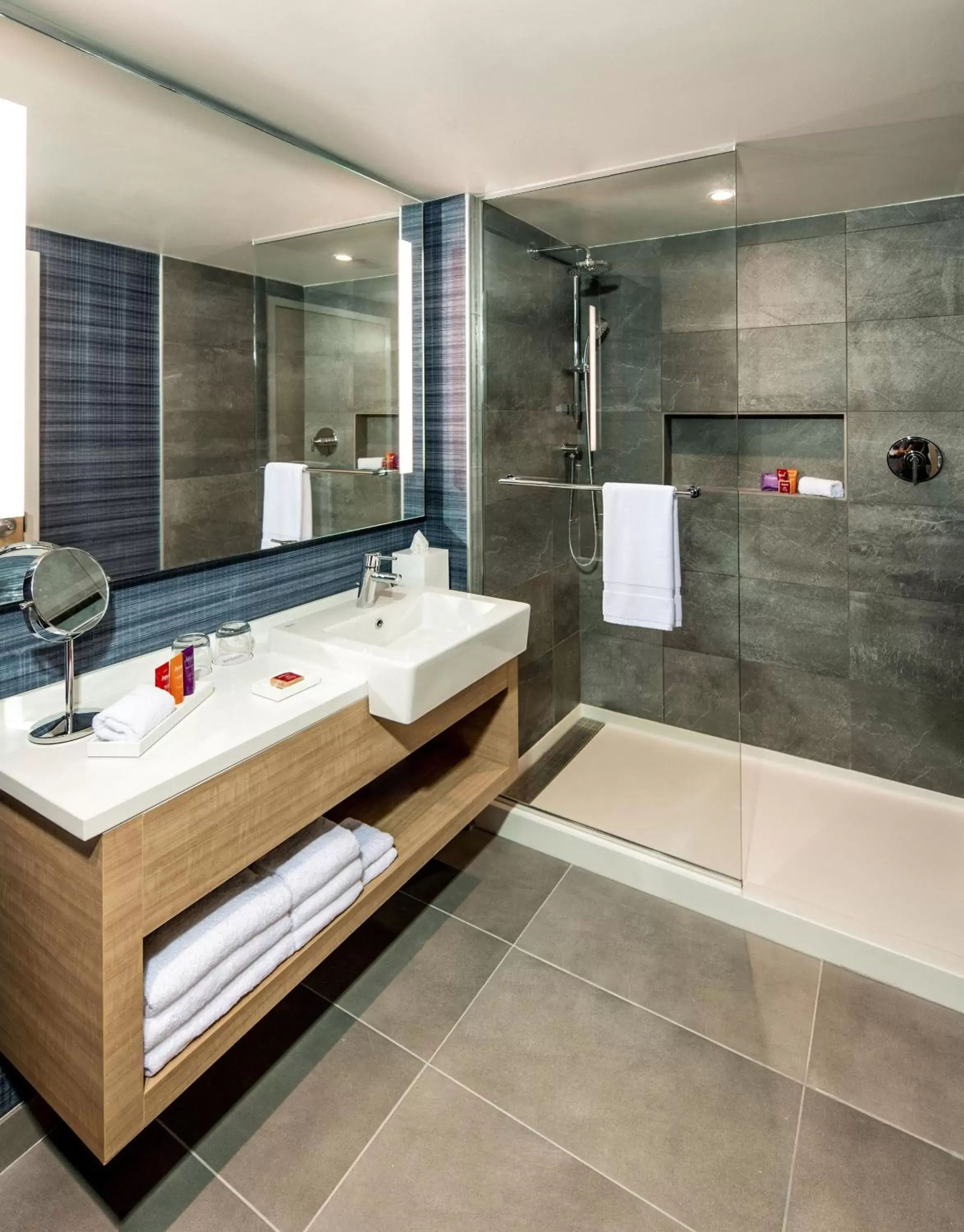 Shower, Bathroom in Novotel Miami Brickell