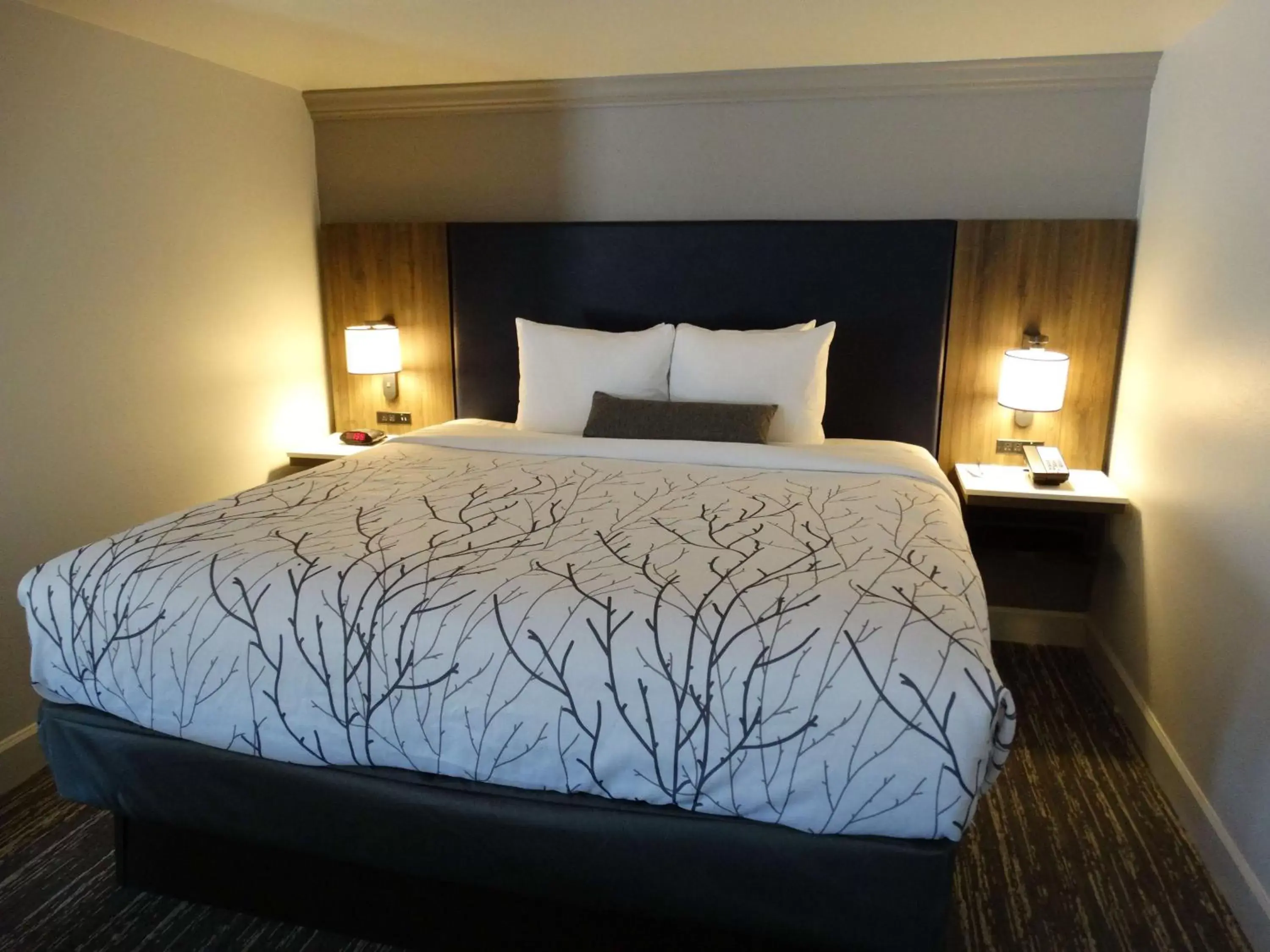 Photo of the whole room, Bed in Best Western Premier Denver East