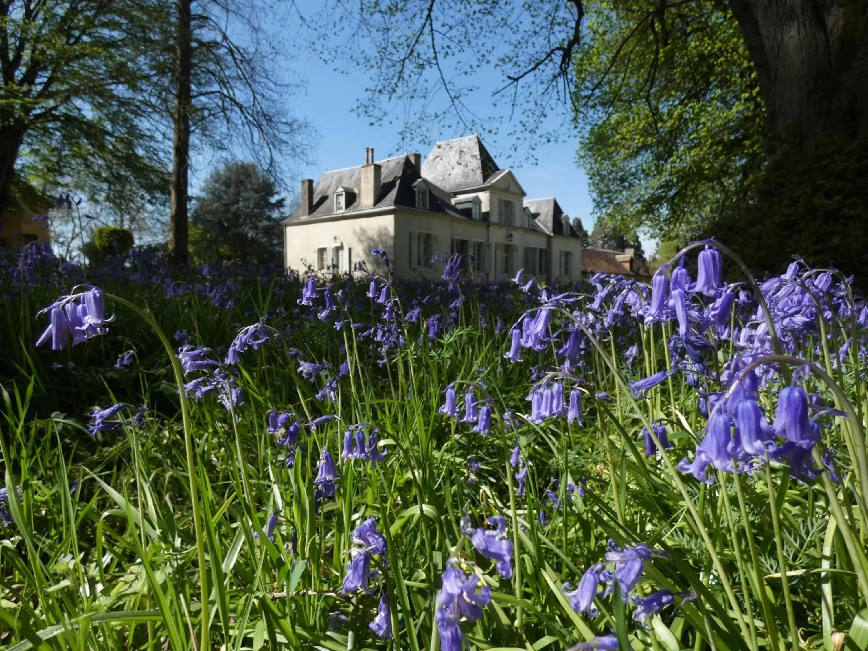 Facade/entrance, Property Building in Domaine De Chatenay - Le Mans