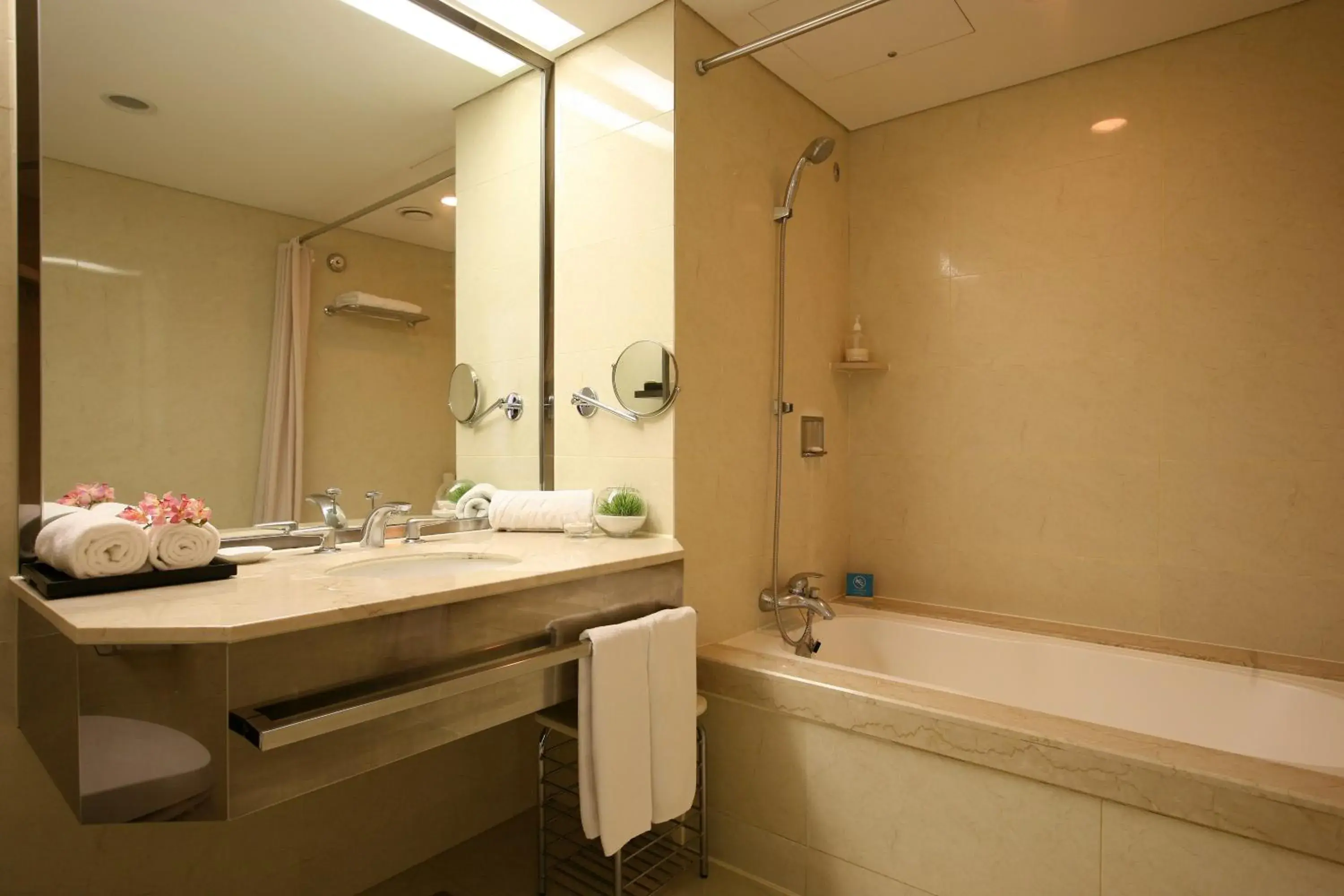 Shower, Bathroom in The Suites Hotel Jeju