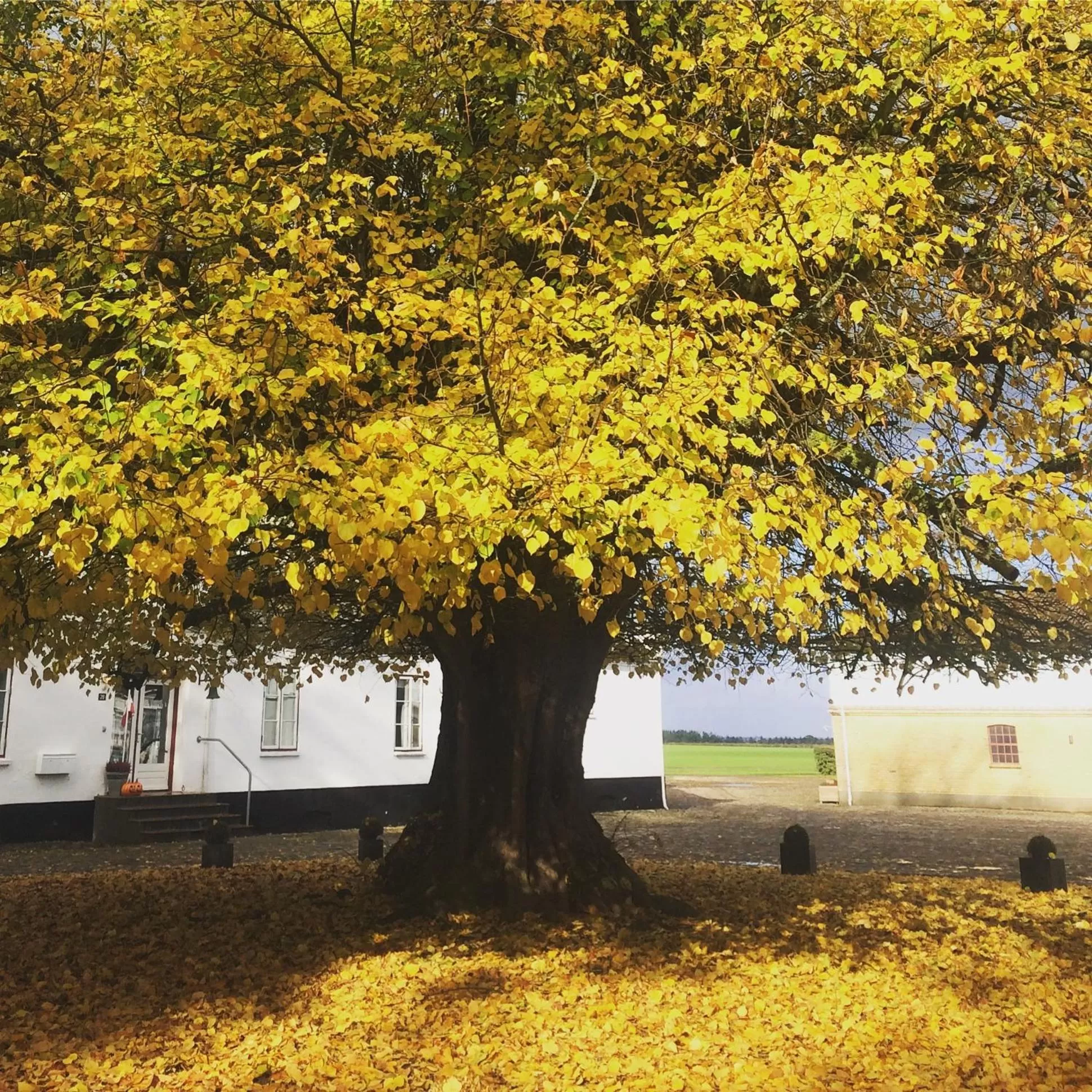 Area and facilities in Rønhave