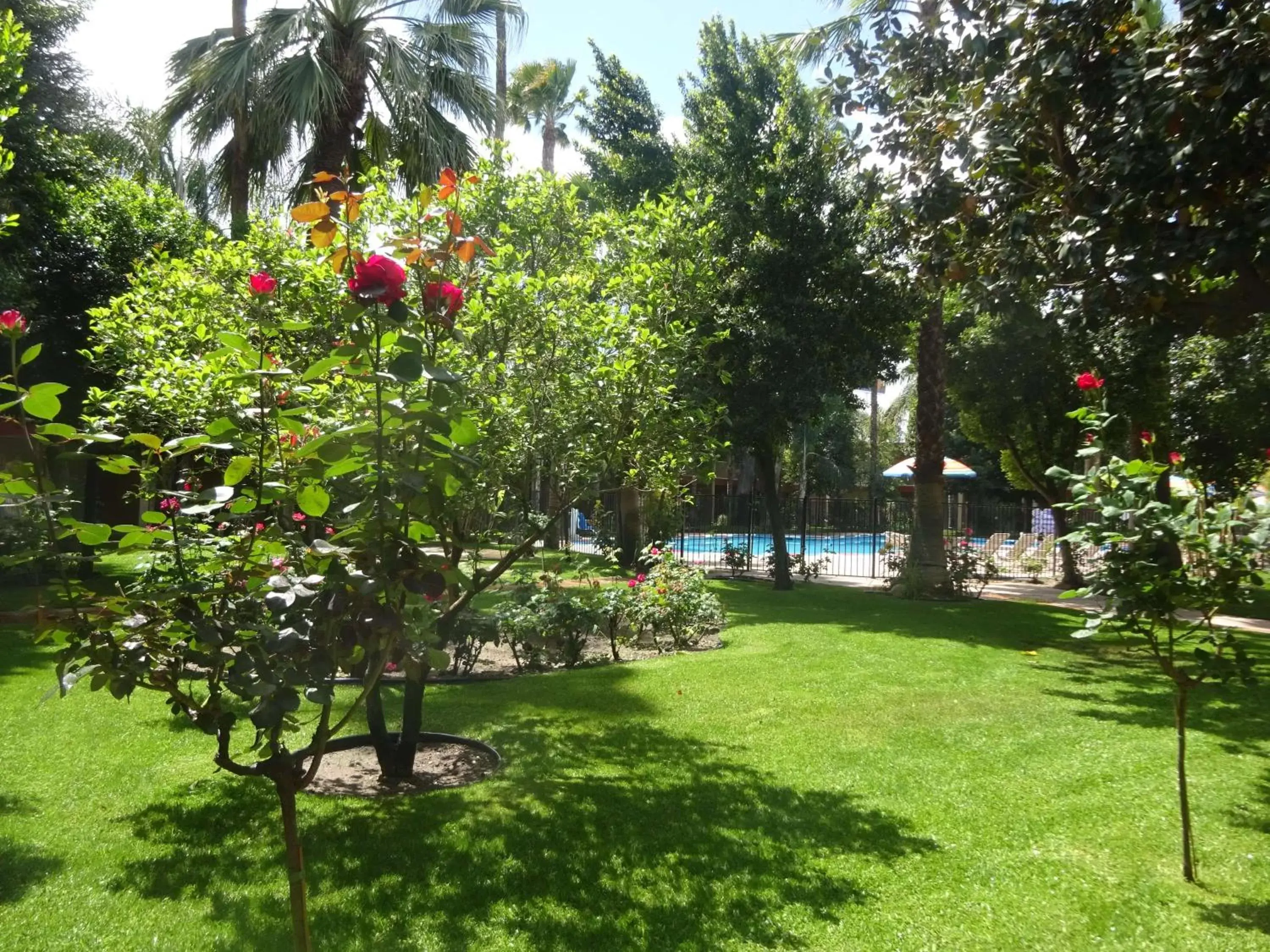 Property building, Garden in Duniya Hotel