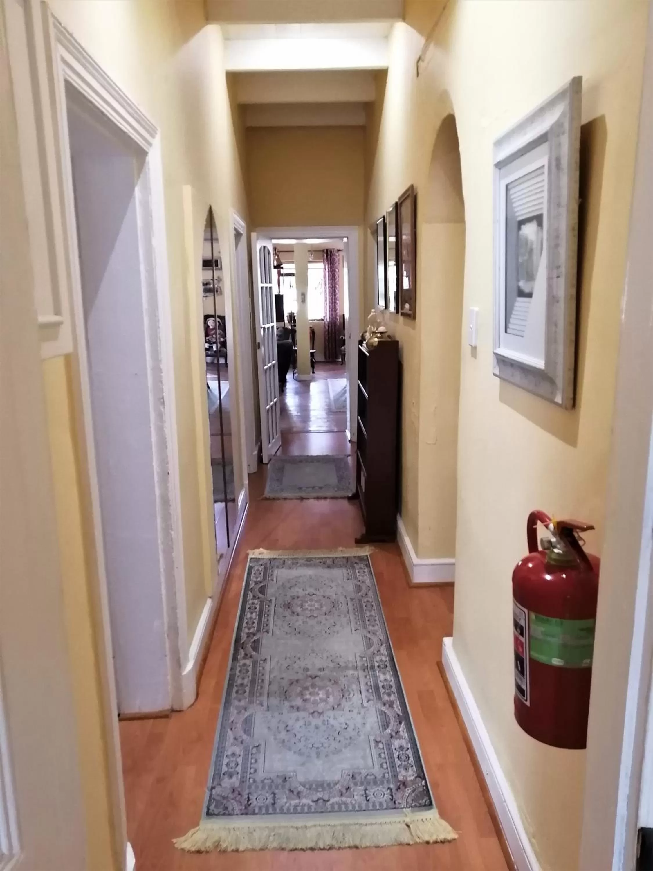 Other in Squirrels Corner