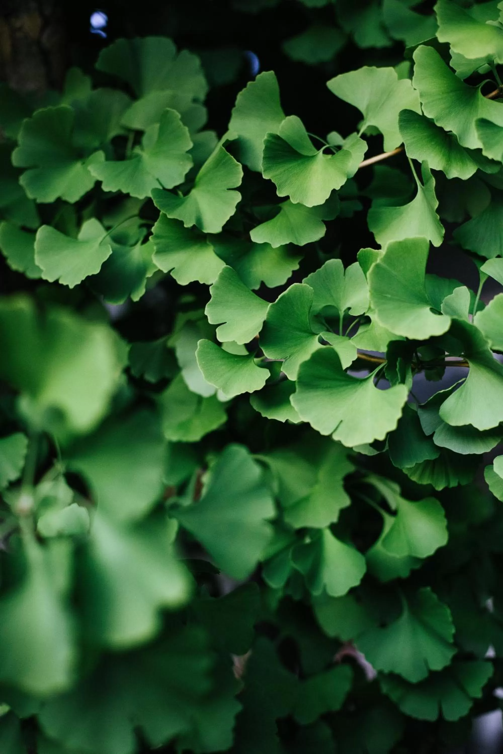 Patio in Modern Hotel