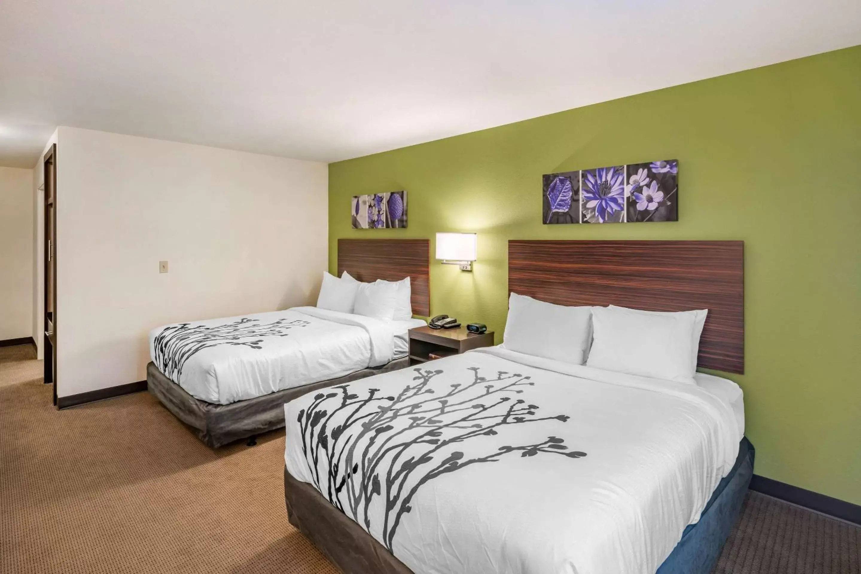 Photo of the whole room, Bed in Sleep Inn Spokane Airport