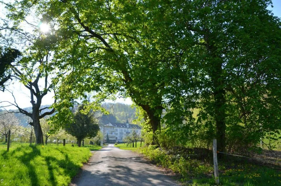 Day in Bad Schauenburg