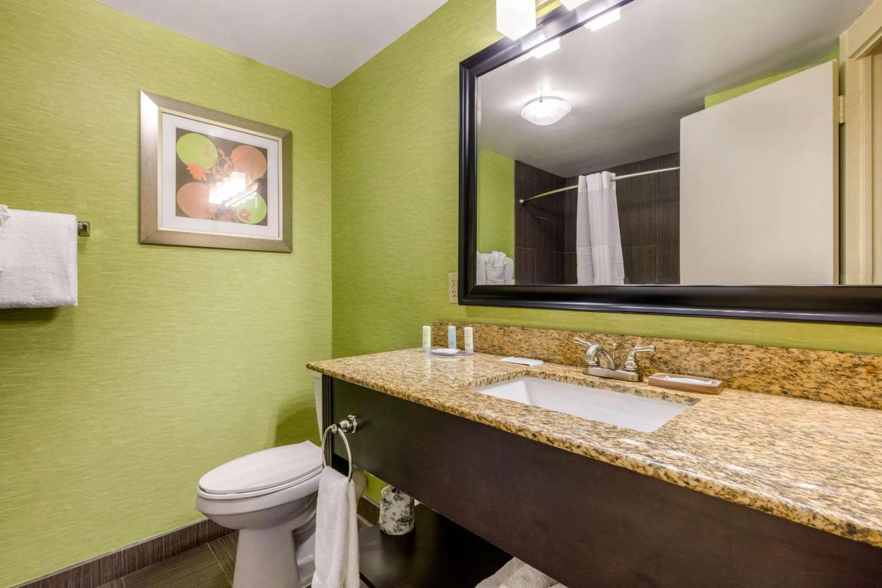 Standard King Room with City View - Non-Smoking in Clarion Hotel Downtown Nashville - Stadium